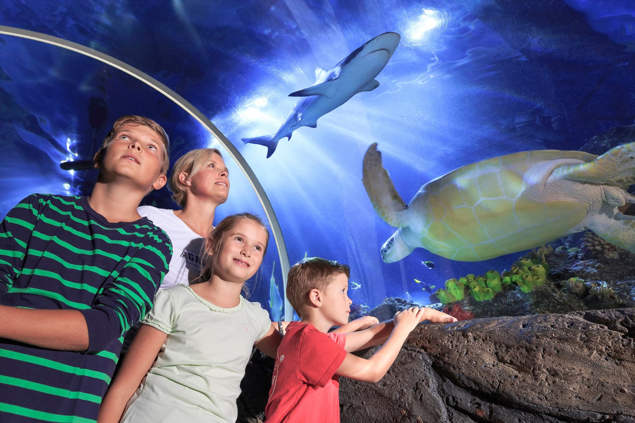 SEA LIFE Timmendorfer Strand Aquarium Ticket - image 7