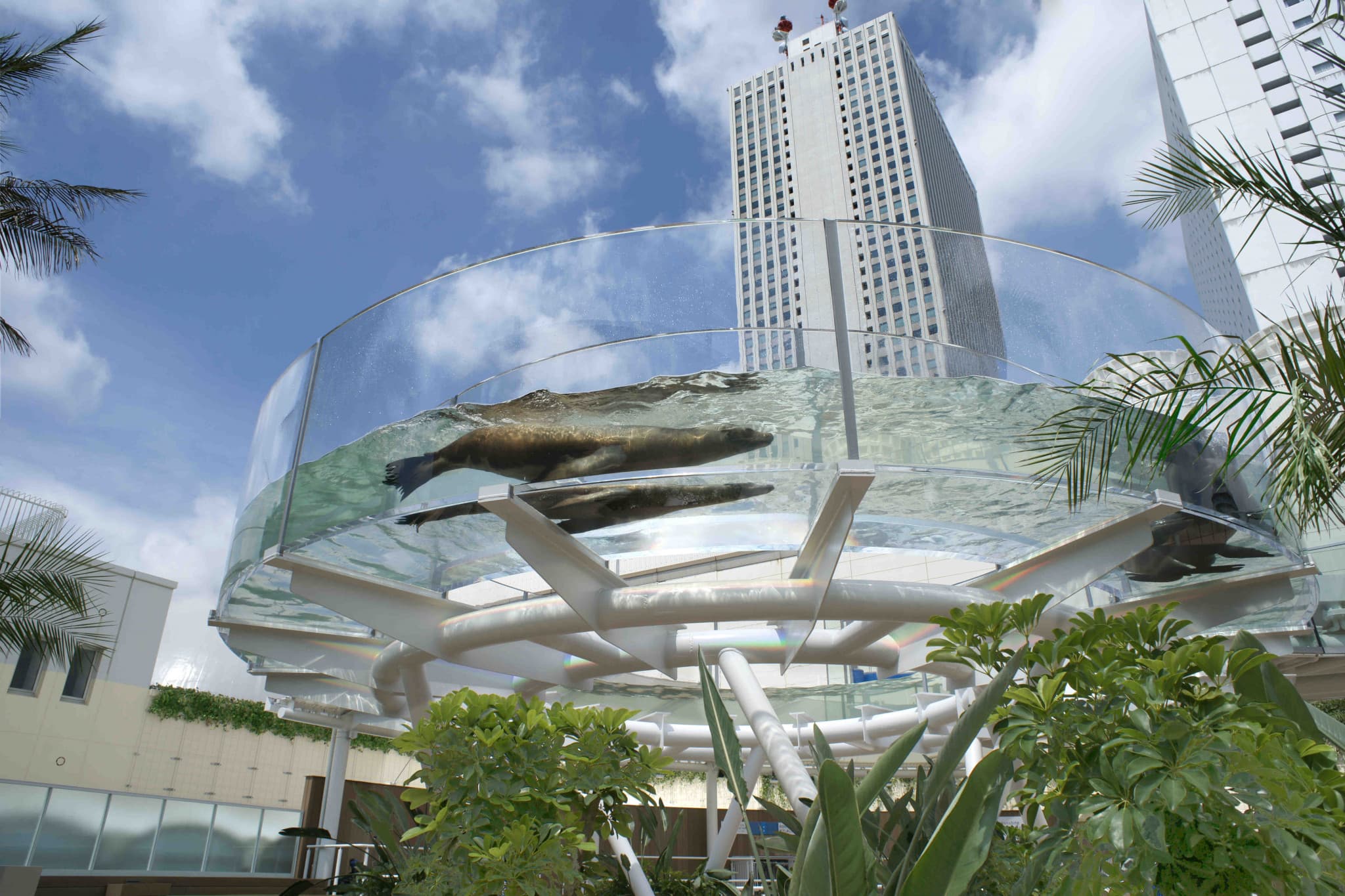 Tokyo Sunshine Aquarium - image 5