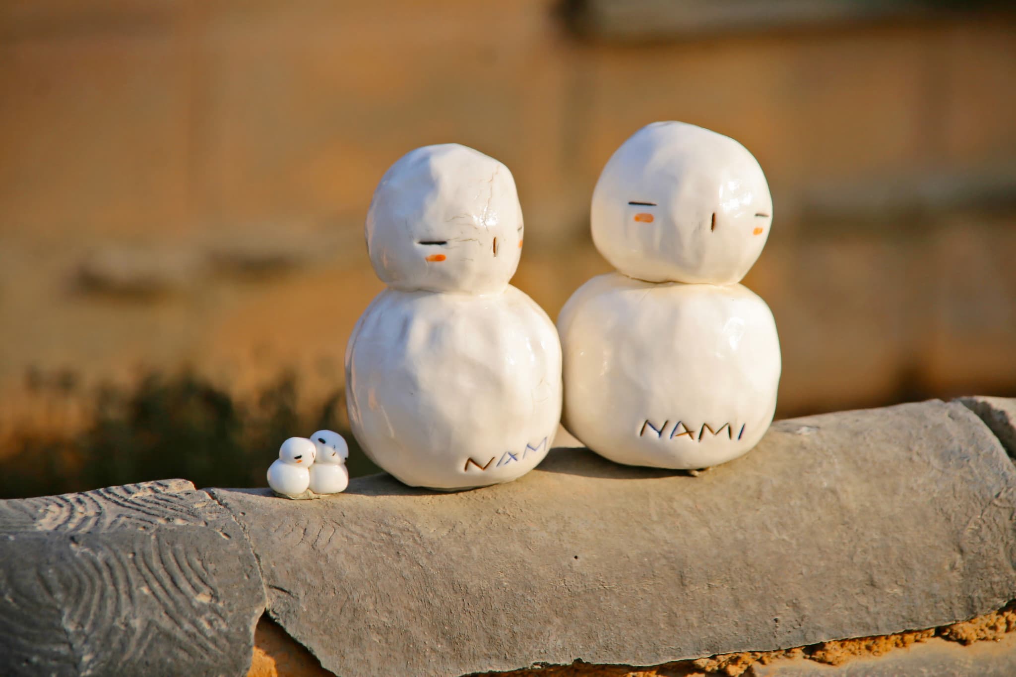 Nami Island, Petite France, Italian Village, and Garden of Morning Calm Tour from Seoul - image 9