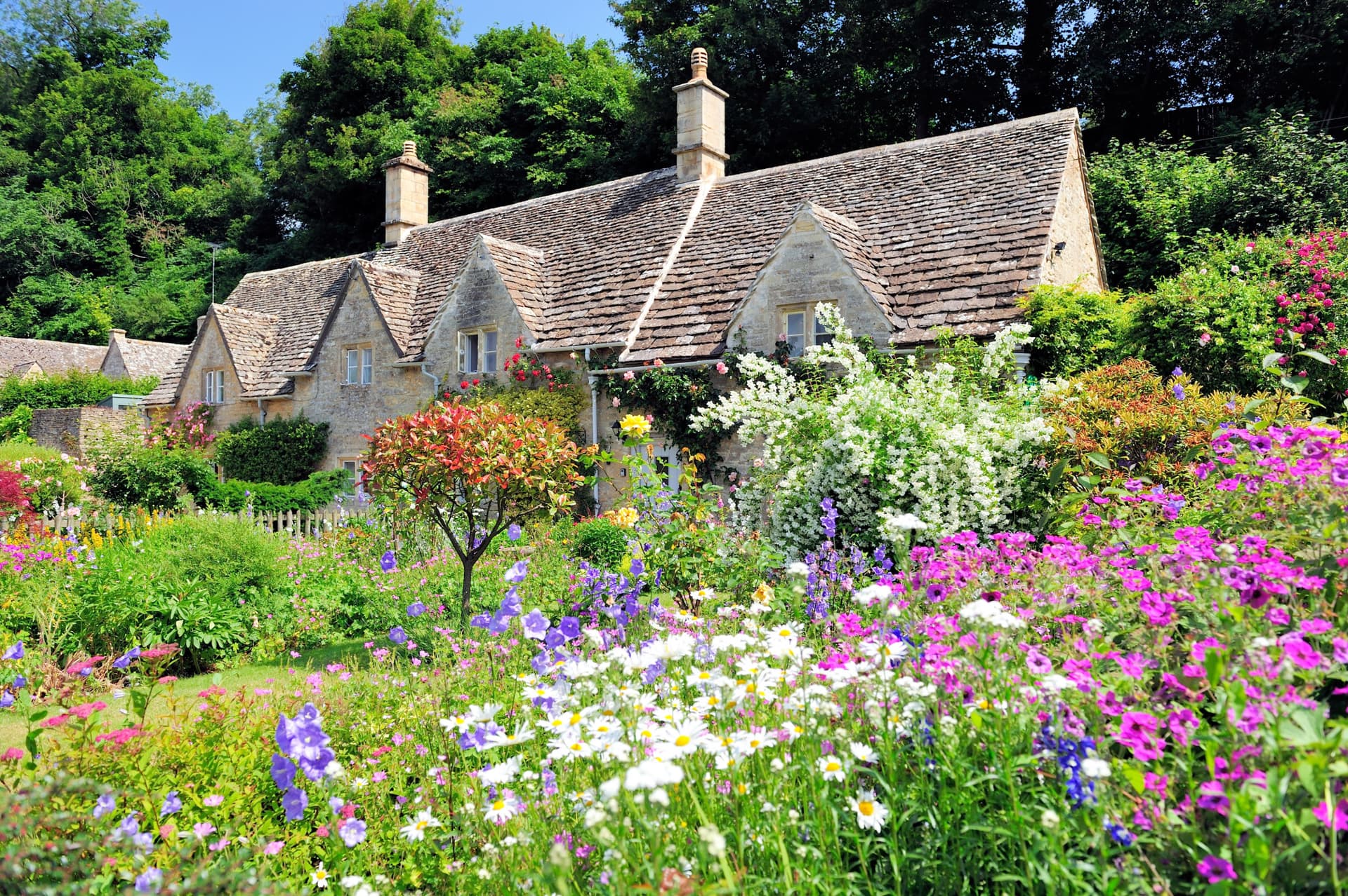 Cotswolds Tour from London with Lunch - imagen 12