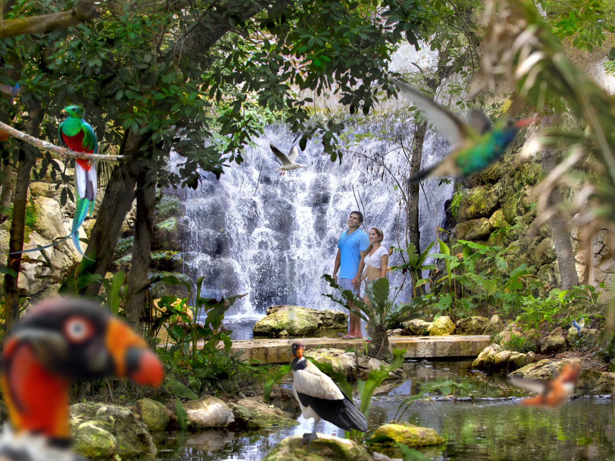 Go City Cancun All-Inclusive Pass: Save up to 50% on Attractions - image 3