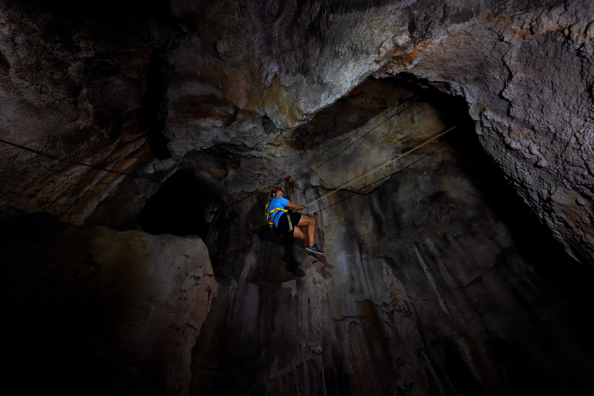 Mandai Destination Pass: Up to 2 Attractions in 1 Day - image 9