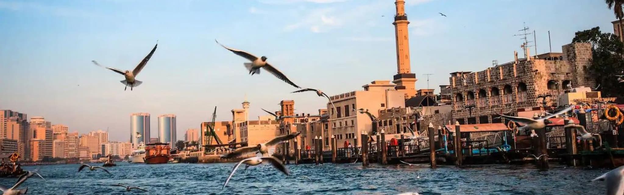 Go City Dubai Highlights Pass: Save up to 50% on Attractions - image 18
