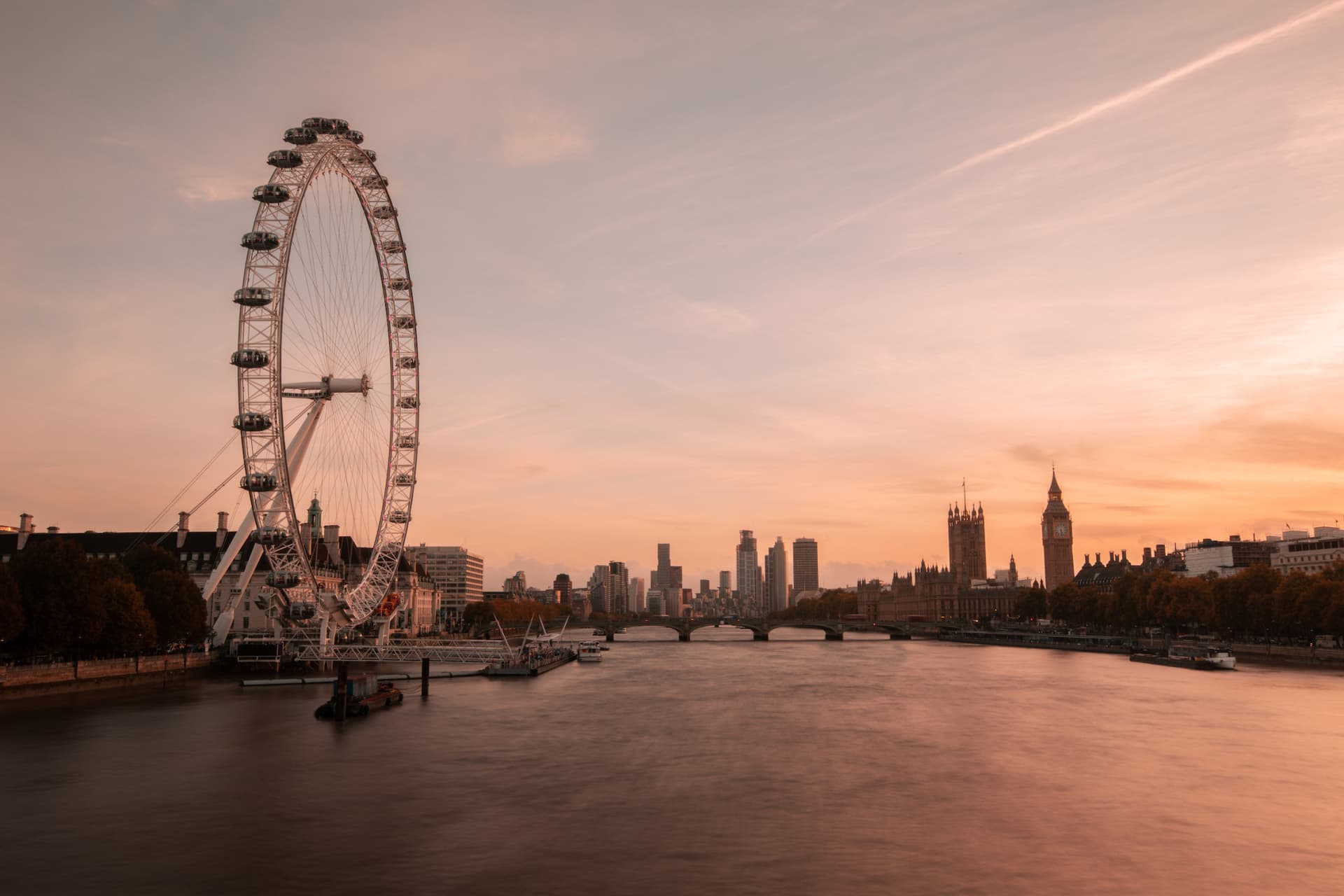 COMBO: London Eye + SEA LIFE London Aquarium Ticket - image 7