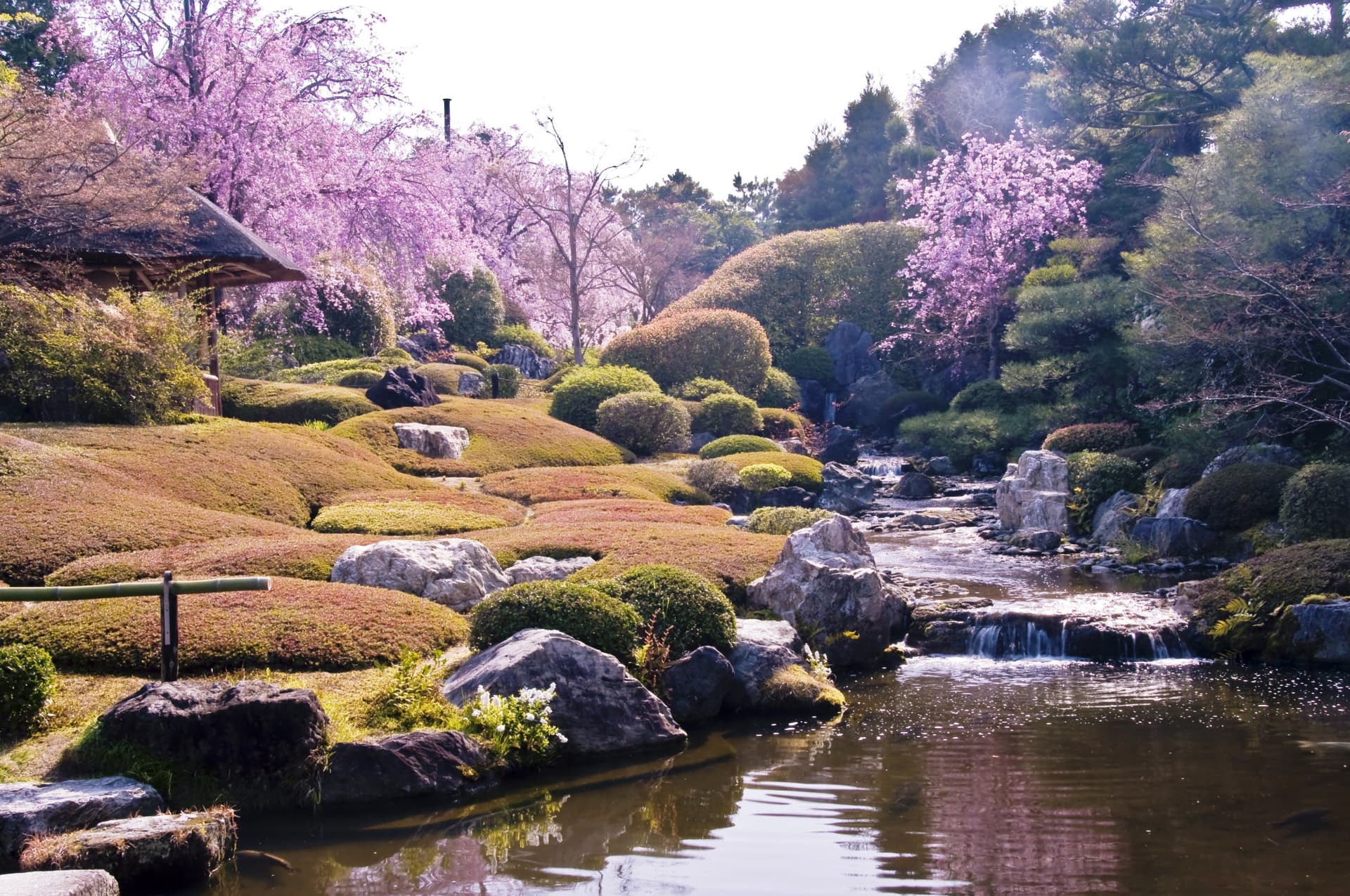 Myoshinji Temple Self-Guided Tour with Lunch - image 6