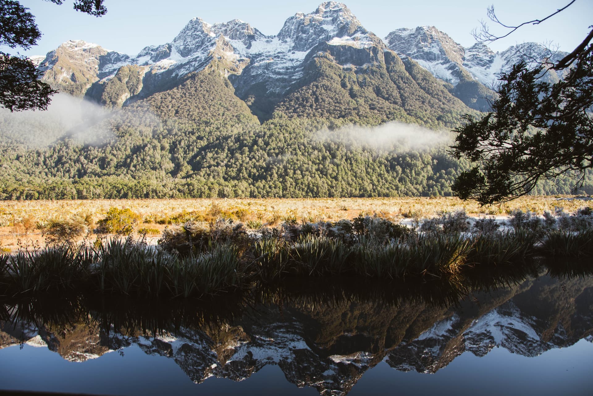 Milford Sound Coach and Cruise from Queenstown - 대표 이미지