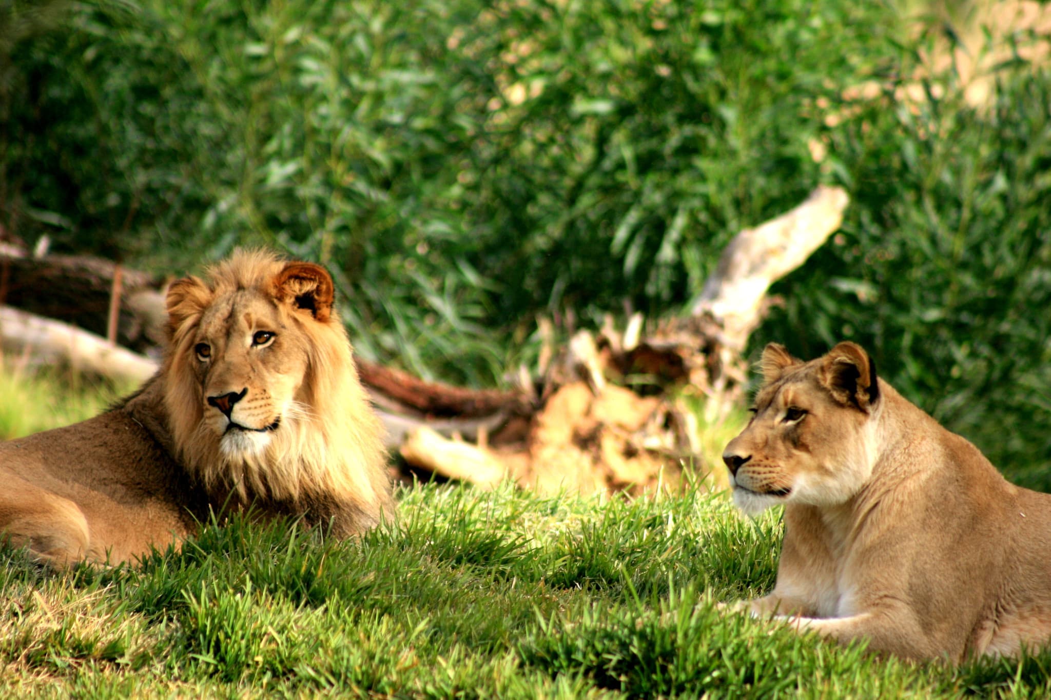 Go City Philadelphia All-Inclusive Pass: Save up to 50% on Attractions - image 31