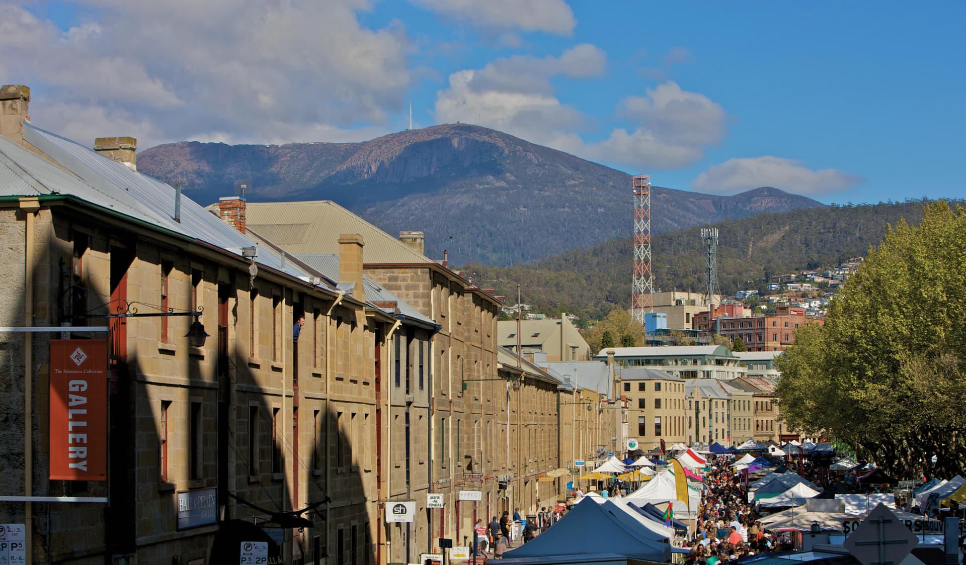 Bonorong Wildlife Sanctuary and Hobart City Tour - imagen 15