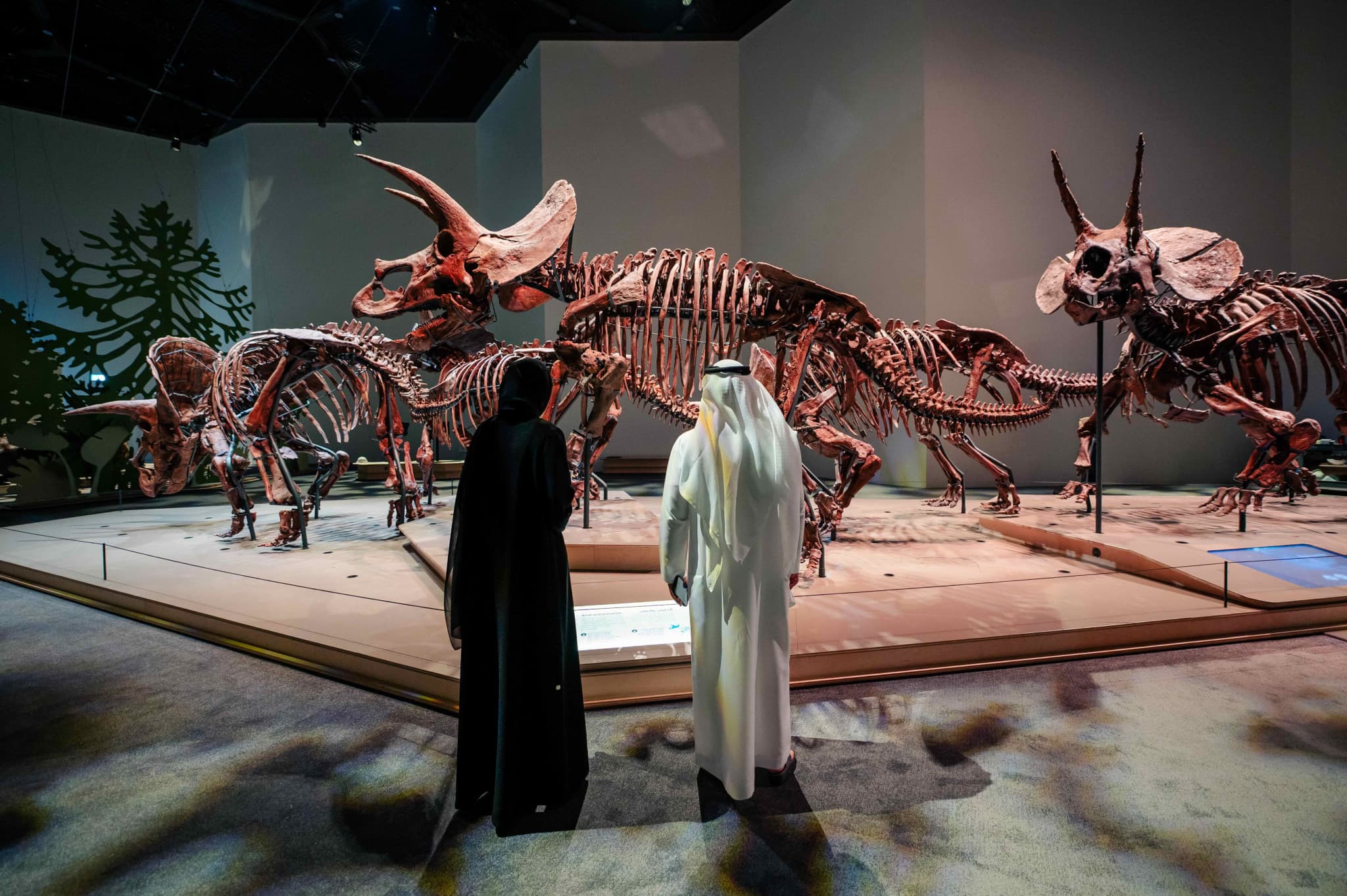 Natural History Museum Abu Dhabi Ticket - main image