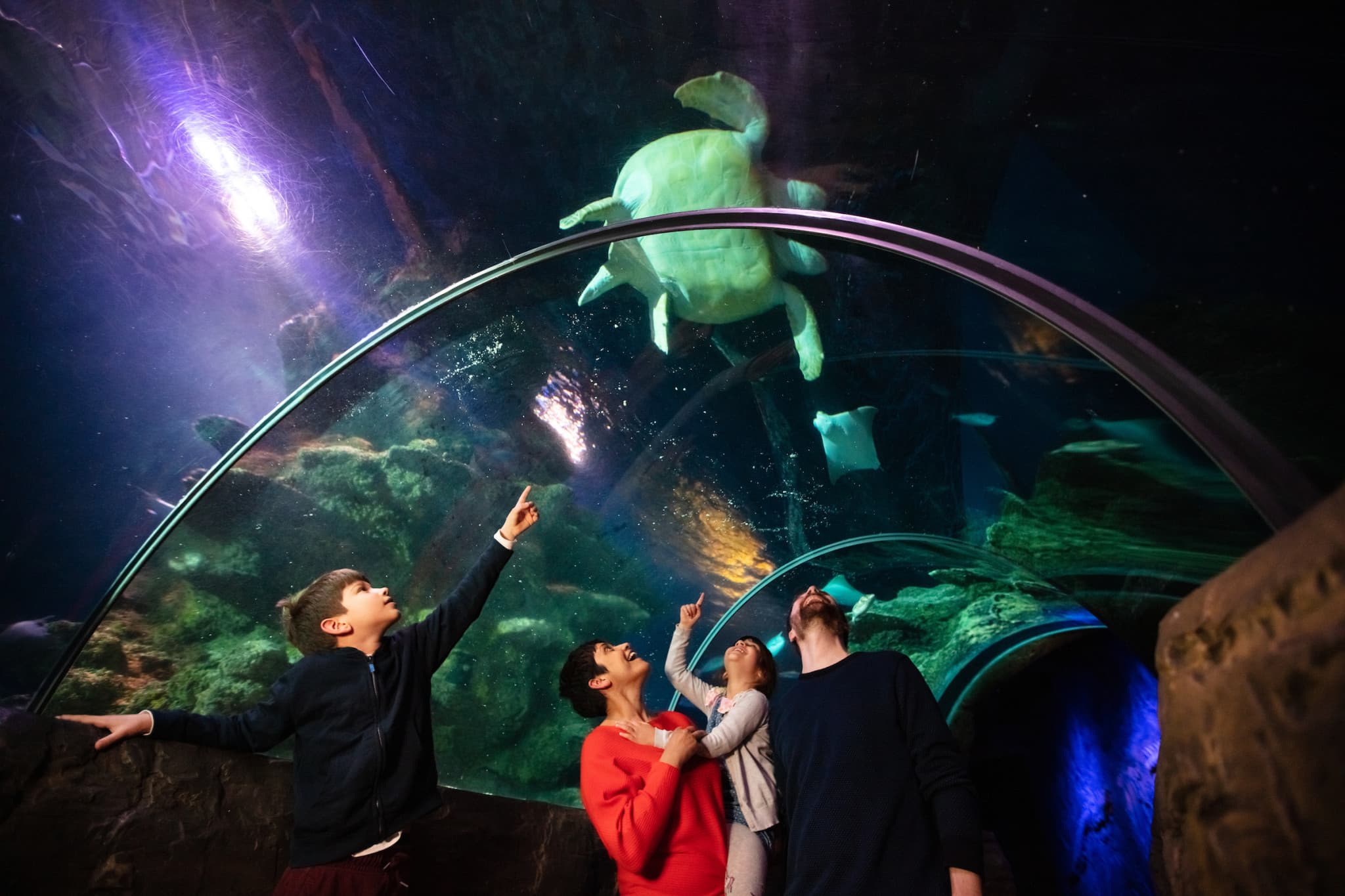 COMBO: Madame Tussauds London + SEA LIFE London Aquarium Ticket - image 8