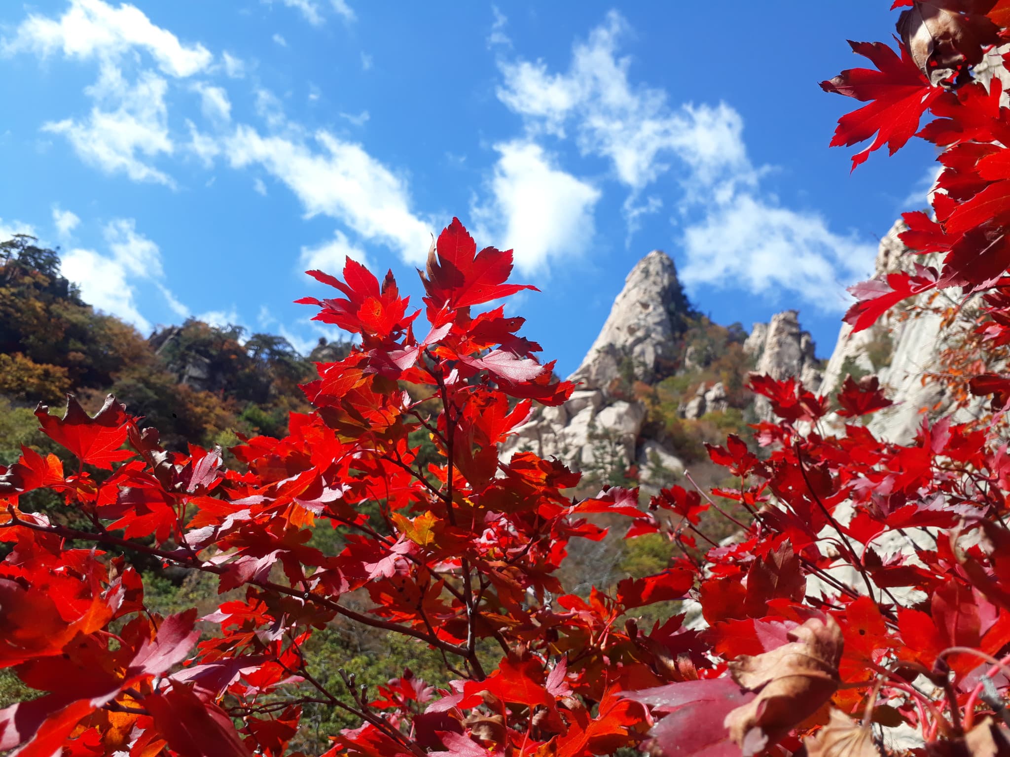 Nami Island, Mount Seorak, and Gapyeong Rail Bike Full-Day Tour from Seoul - image 8