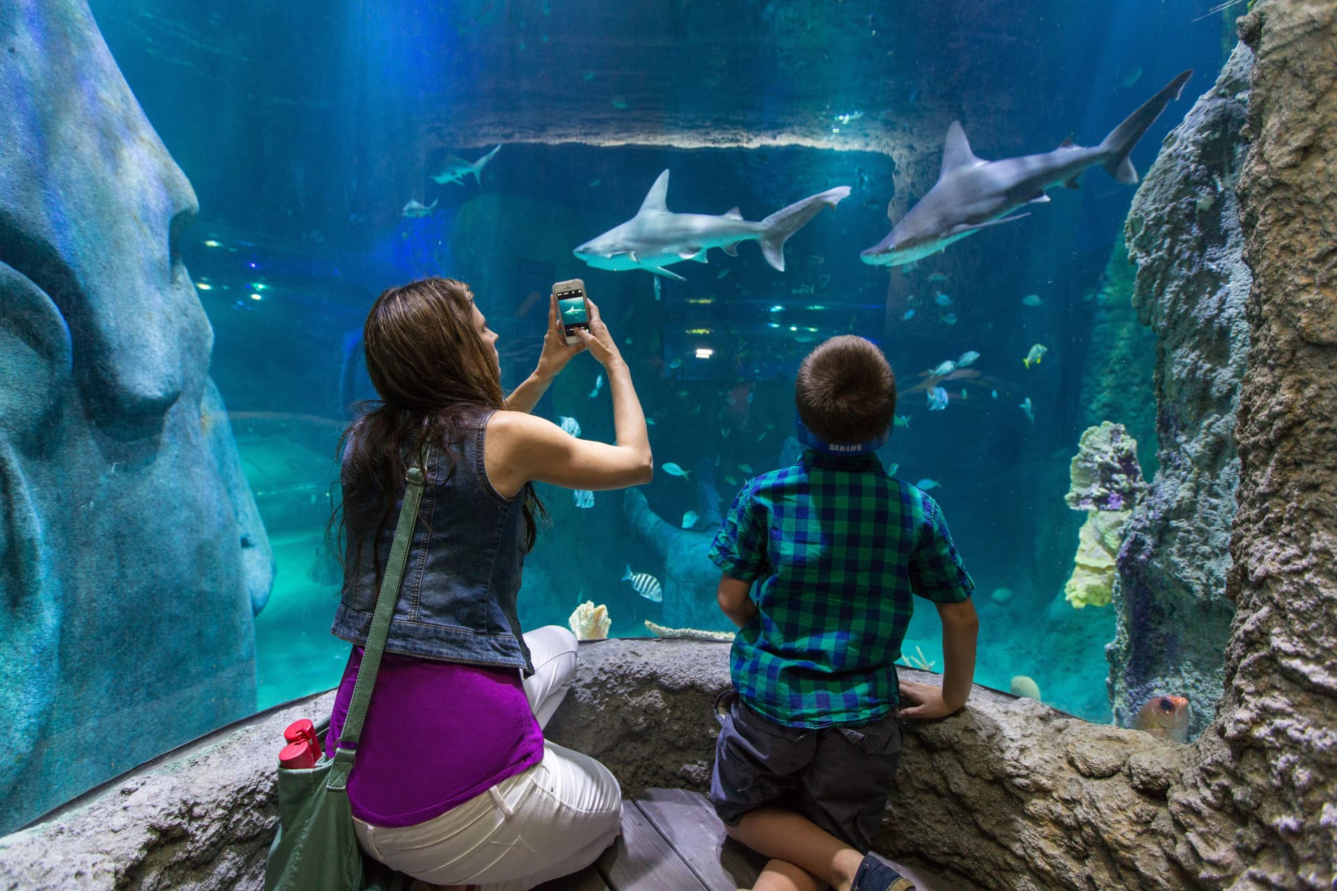 Go City Orlando All-Inclusive Pass: Save up to 50% on Attractions - imagen 2