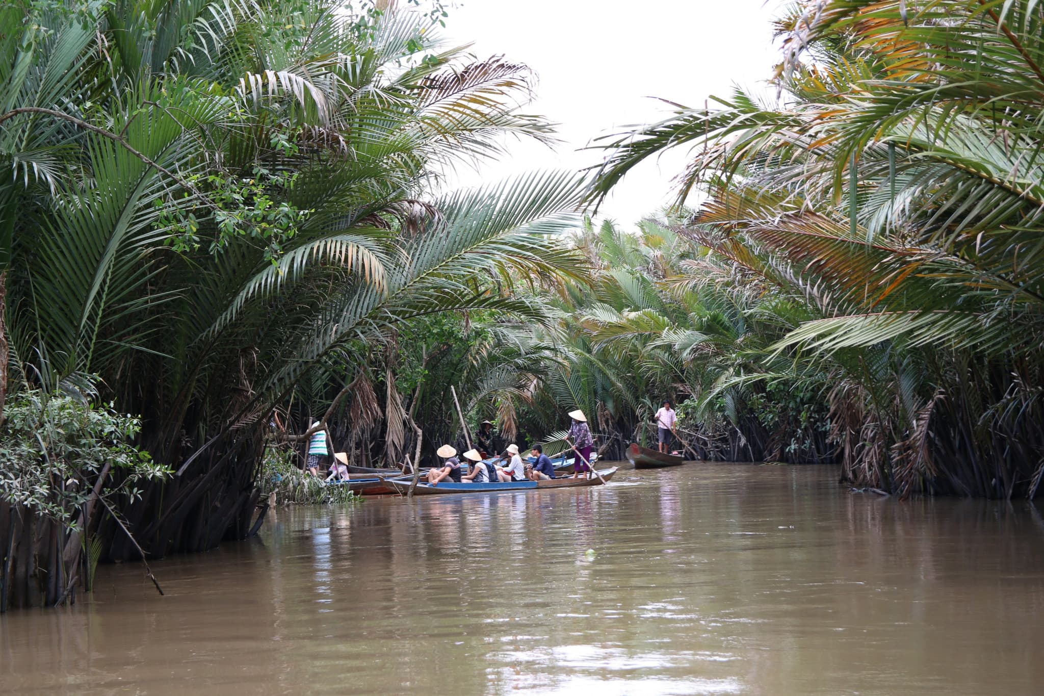 Mekong Delta Full-Day Tour from Ho Chi Minh City - image 7