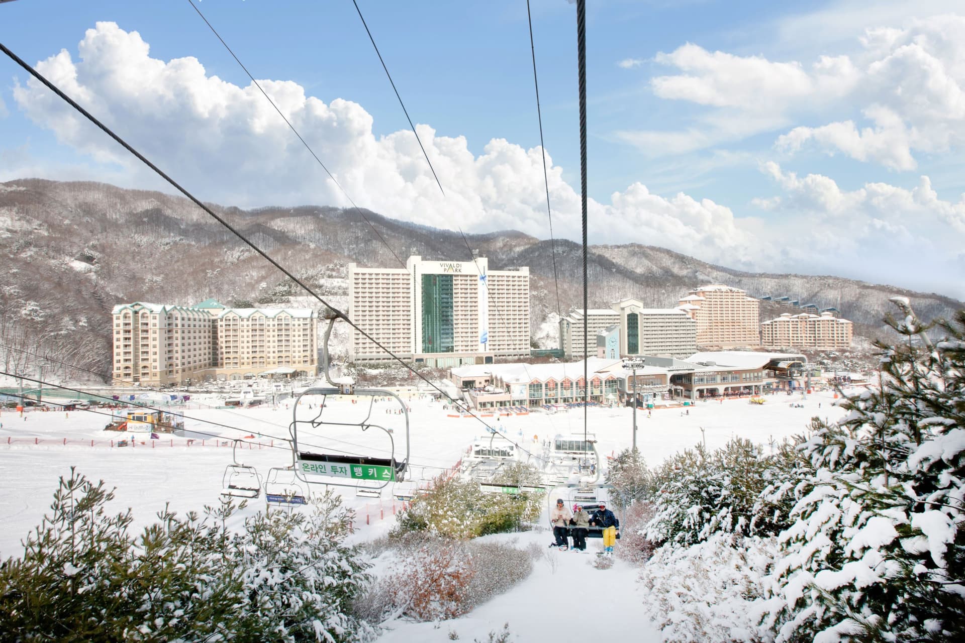Tour de un día desde Seúl: esquí de invierno en Vivaldi Park y valle helado de Eobi - imagen 2
