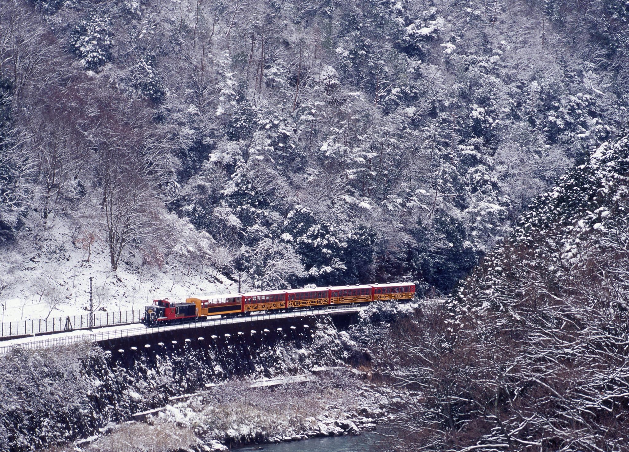 Sagano Romantic Train - image 24
