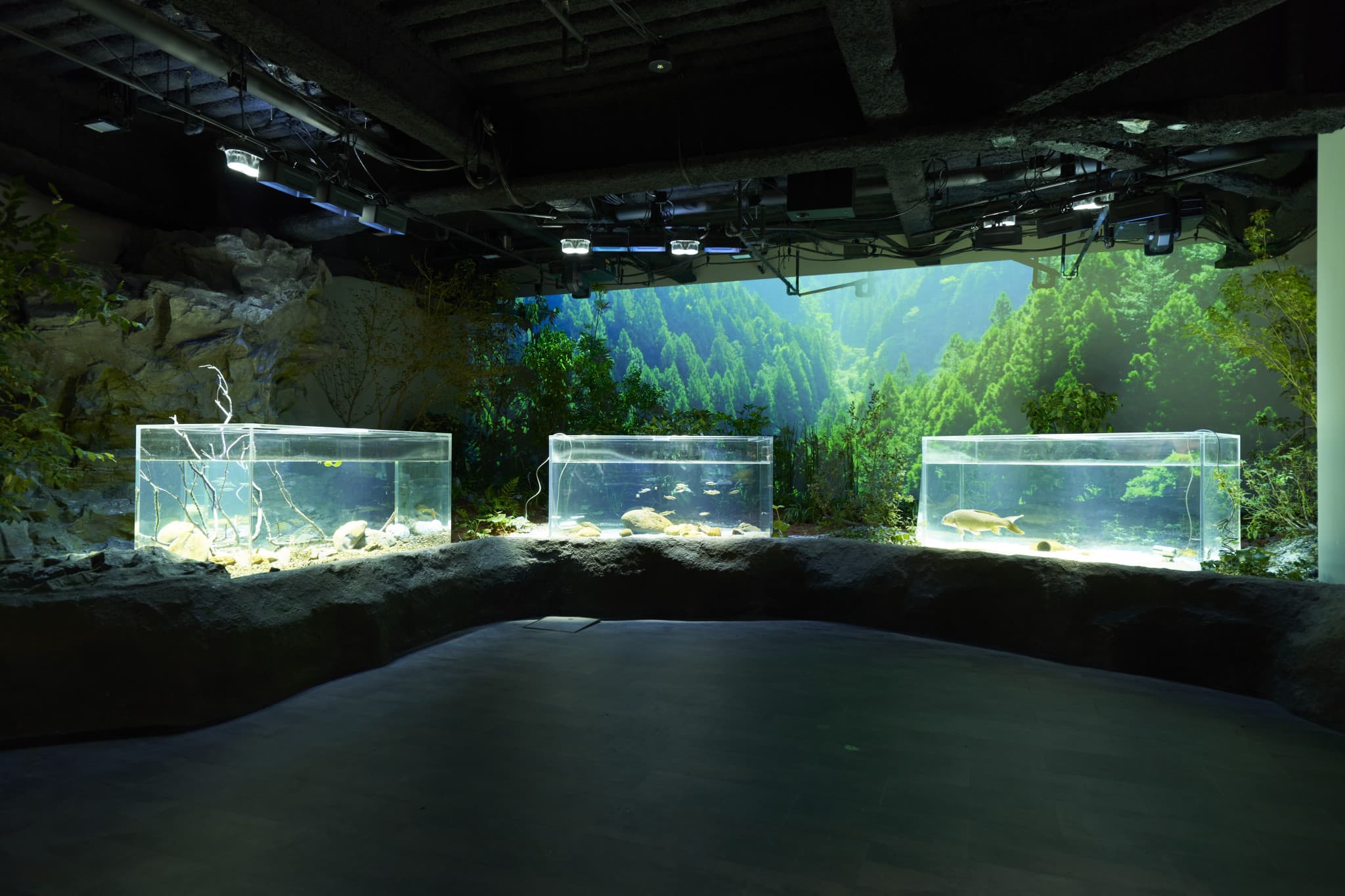 Kawasaki Aquarium Ticket - image 11
