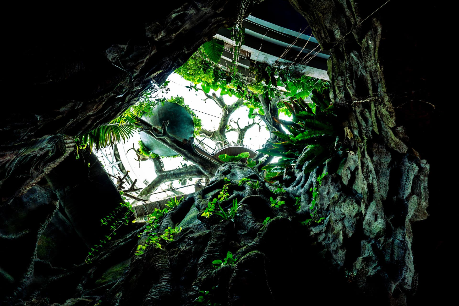 Entrada a The Green Planet Dubai - imagen 8