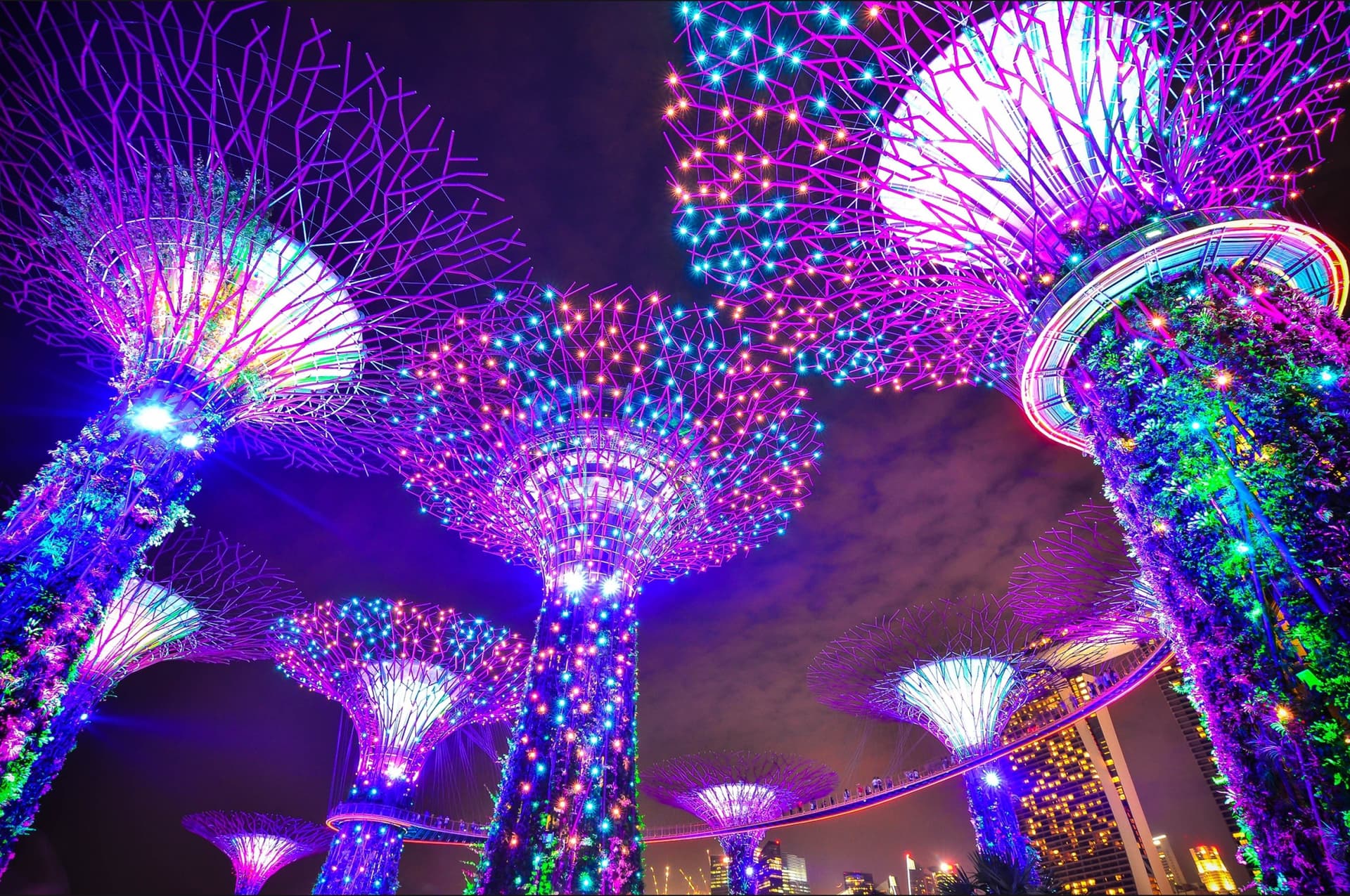 COMBO: Gardens by the Bay + National Orchid Garden Ticket - image 14