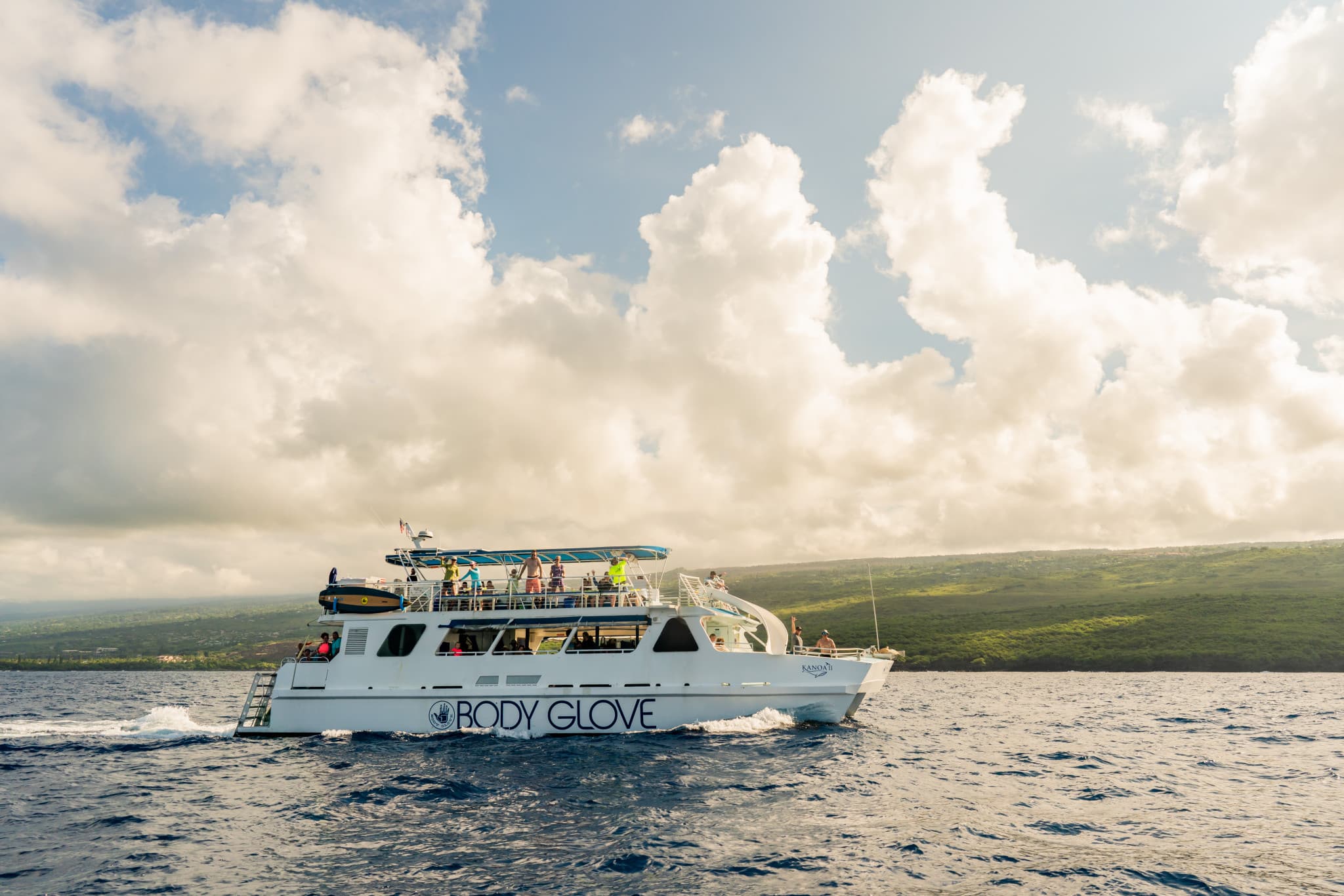 Kona Dolphin Watching Cruise with Snorkelling Experience - image 5