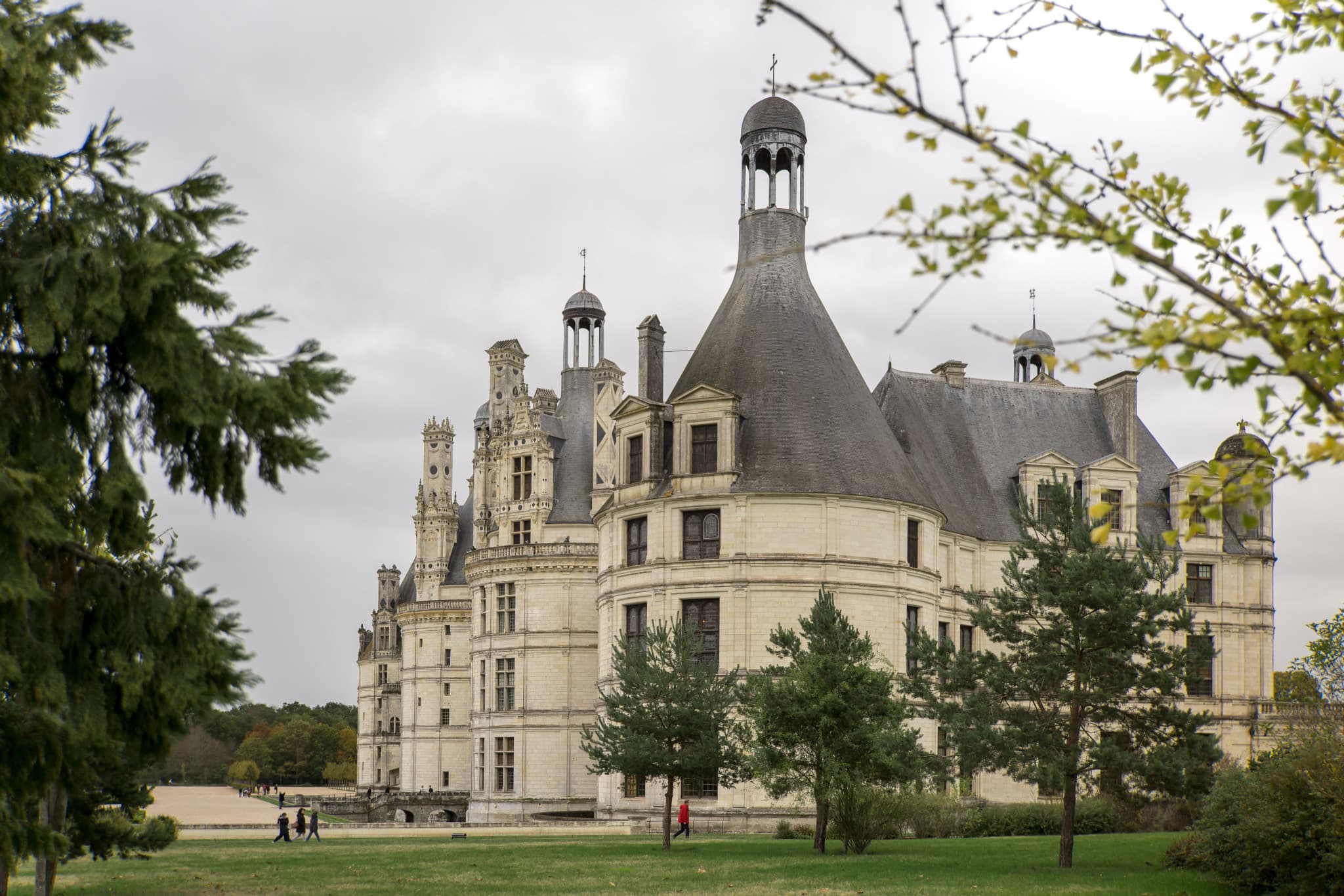 Loire Valley Tour from Paris: Chambord, Chenonceau, and Cheverny Castles - image 15