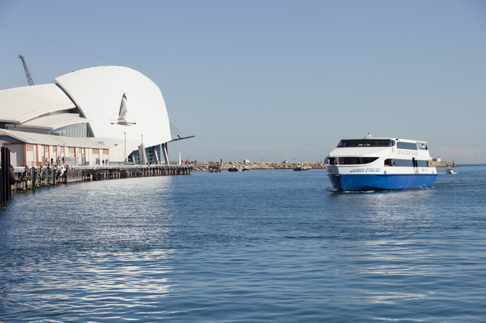 Captain Cook Cruises - Between Perth and Fremantle Scenic Cruise - image 2