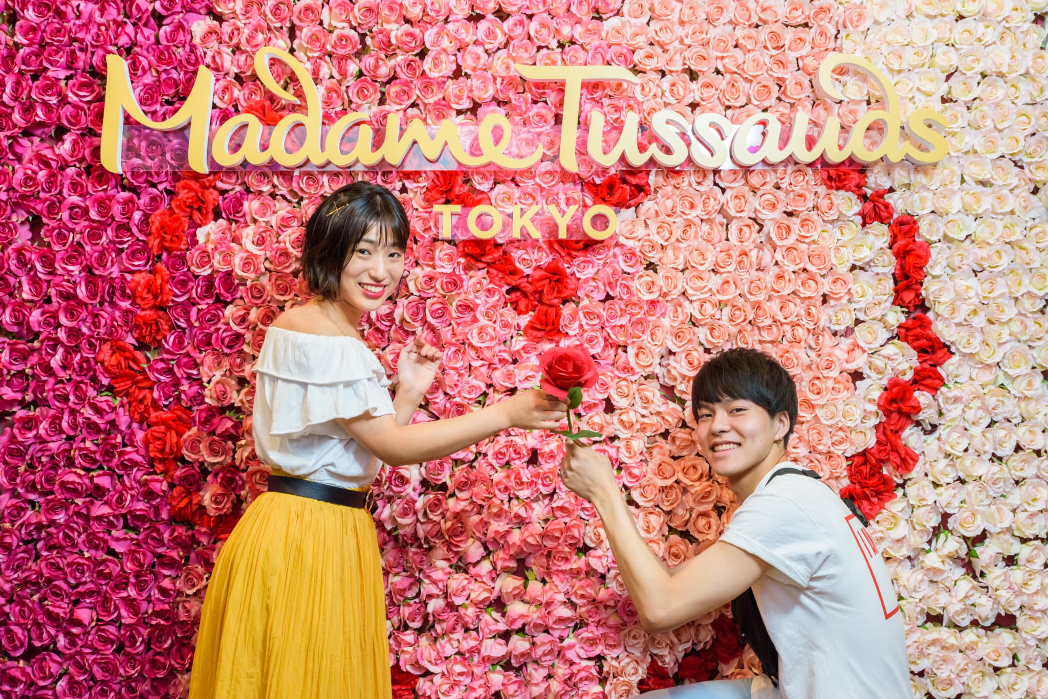 Have Fun in Japan Pass - 2 Weeks Free Pass - image 10