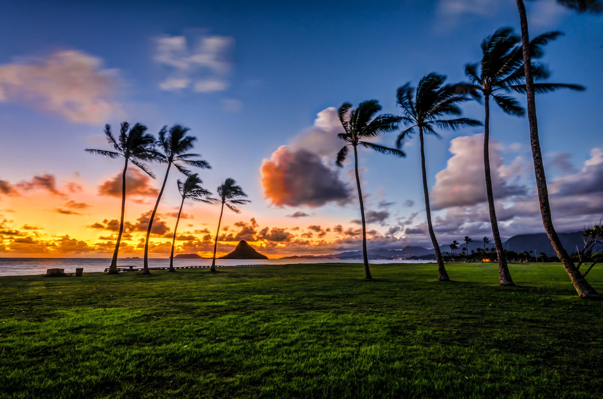 Go City Oahu All-Inclusive Pass: Save up to 50% on Attractions - image 10