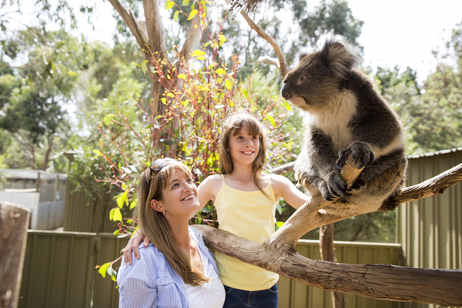Kangaroo Island Tour from Adelaide - imagen 8