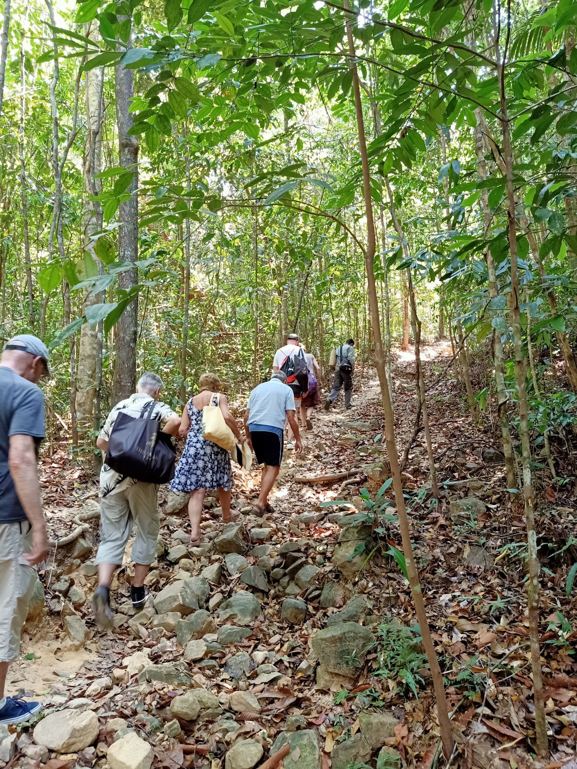 Langkawi Morning Rainforest Walking Tour - image 7