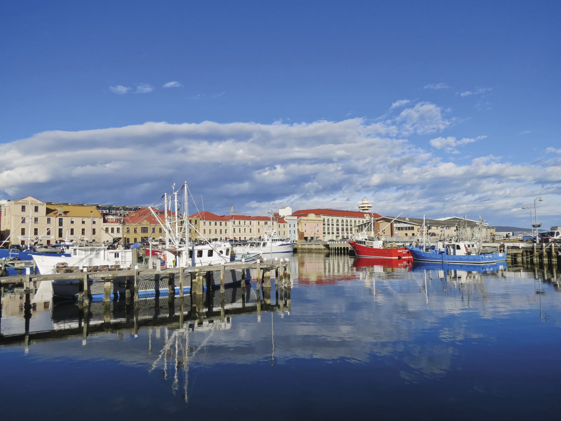 Mount Wellington and Hobart City Tour - image 2