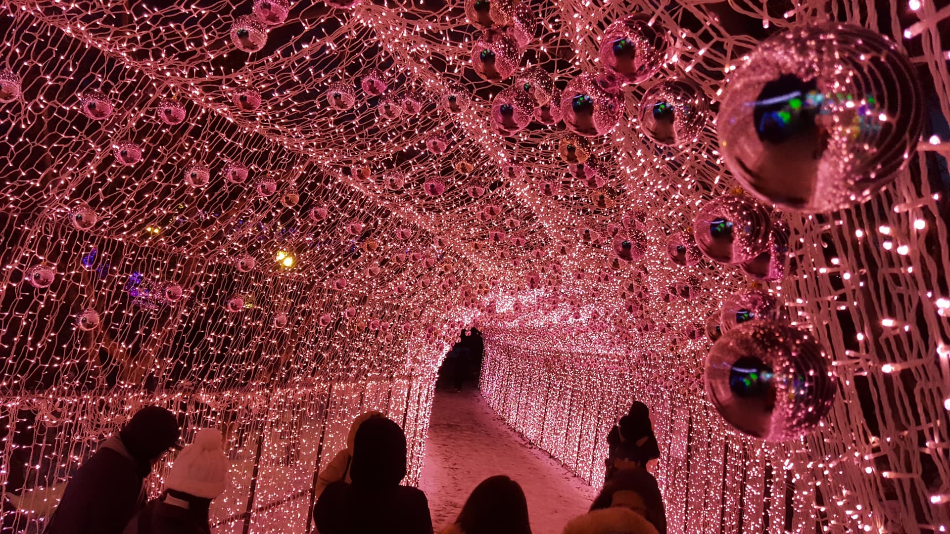 Nami Island, Mount Seorak, and Garden of Morning Calm Full-Day Tour from Seoul - 이미지 11