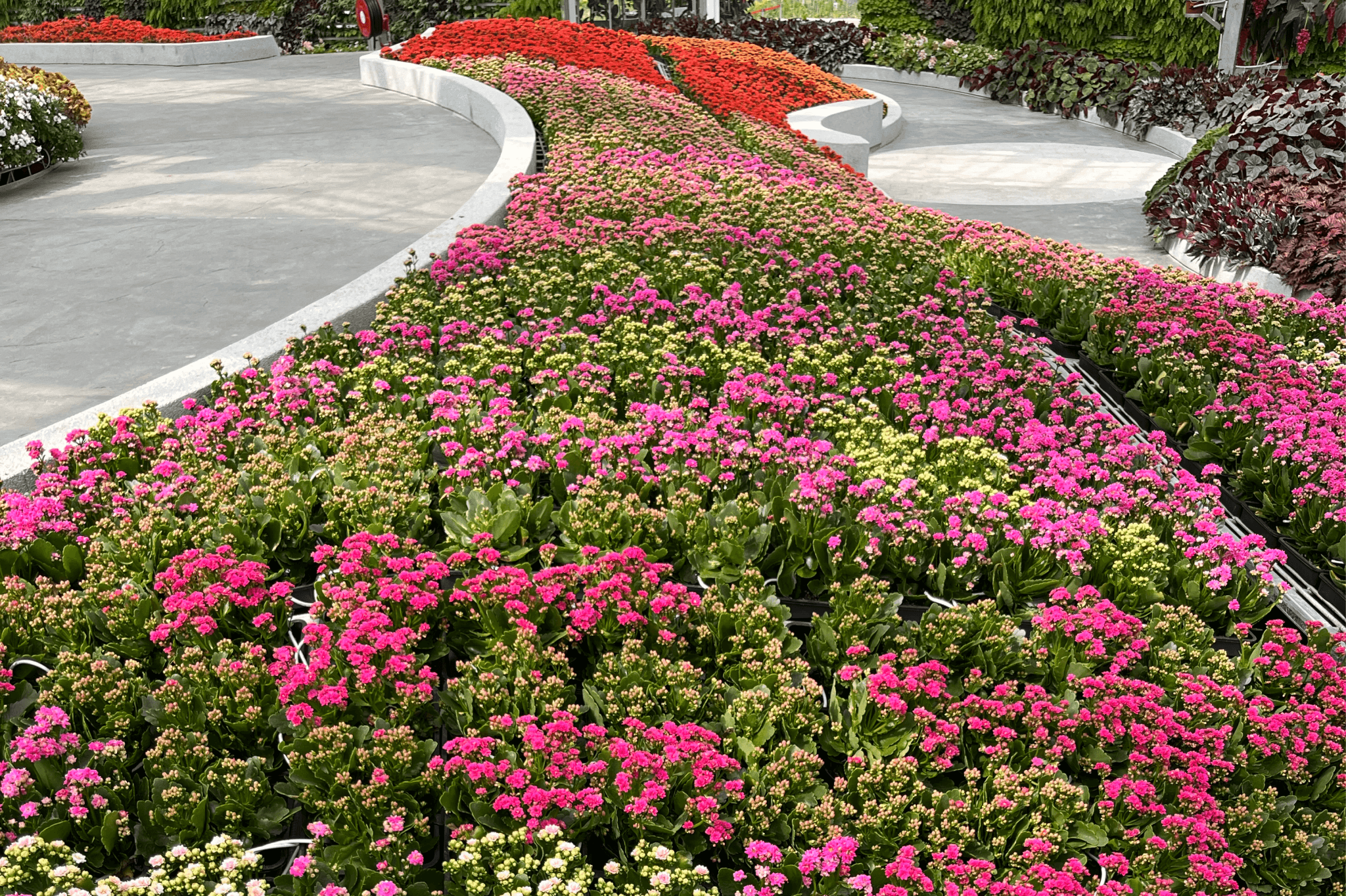COMBO: Eufloria Gardens & Sculpture Park + Genting Skyway Tickets - image 6