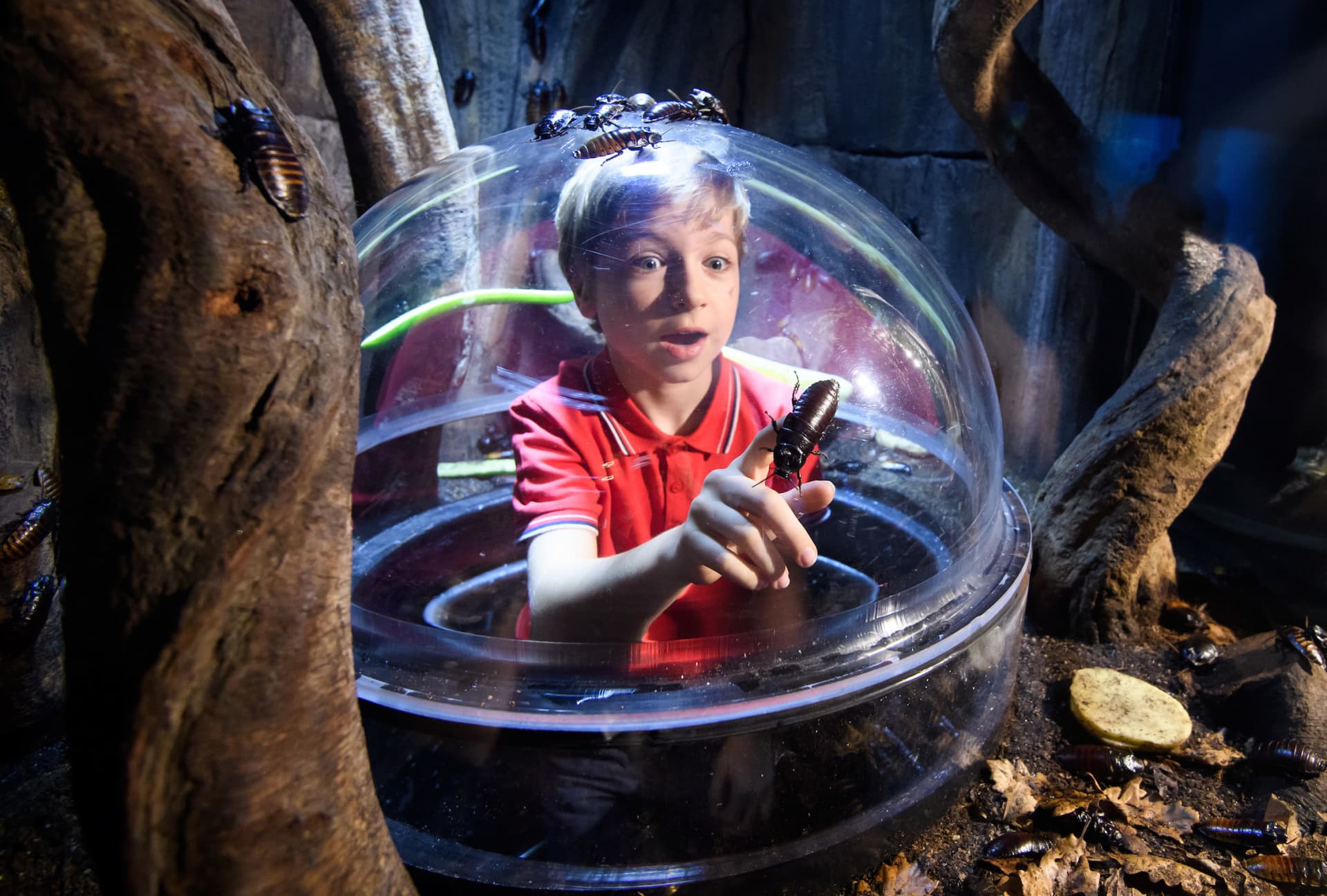 COMBO: Madame Tussauds London + SEA LIFE London Aquarium Ticket - imagen 15
