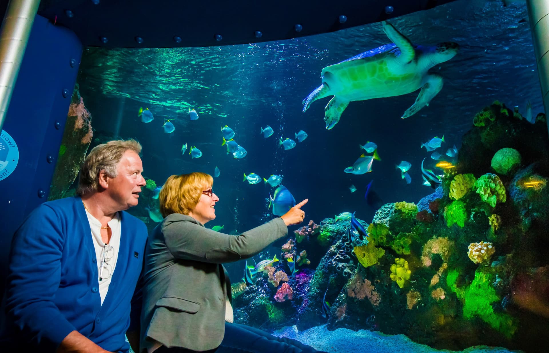 SEA LIFE Timmendorfer Strand Aquarium Ticket - imagen 6