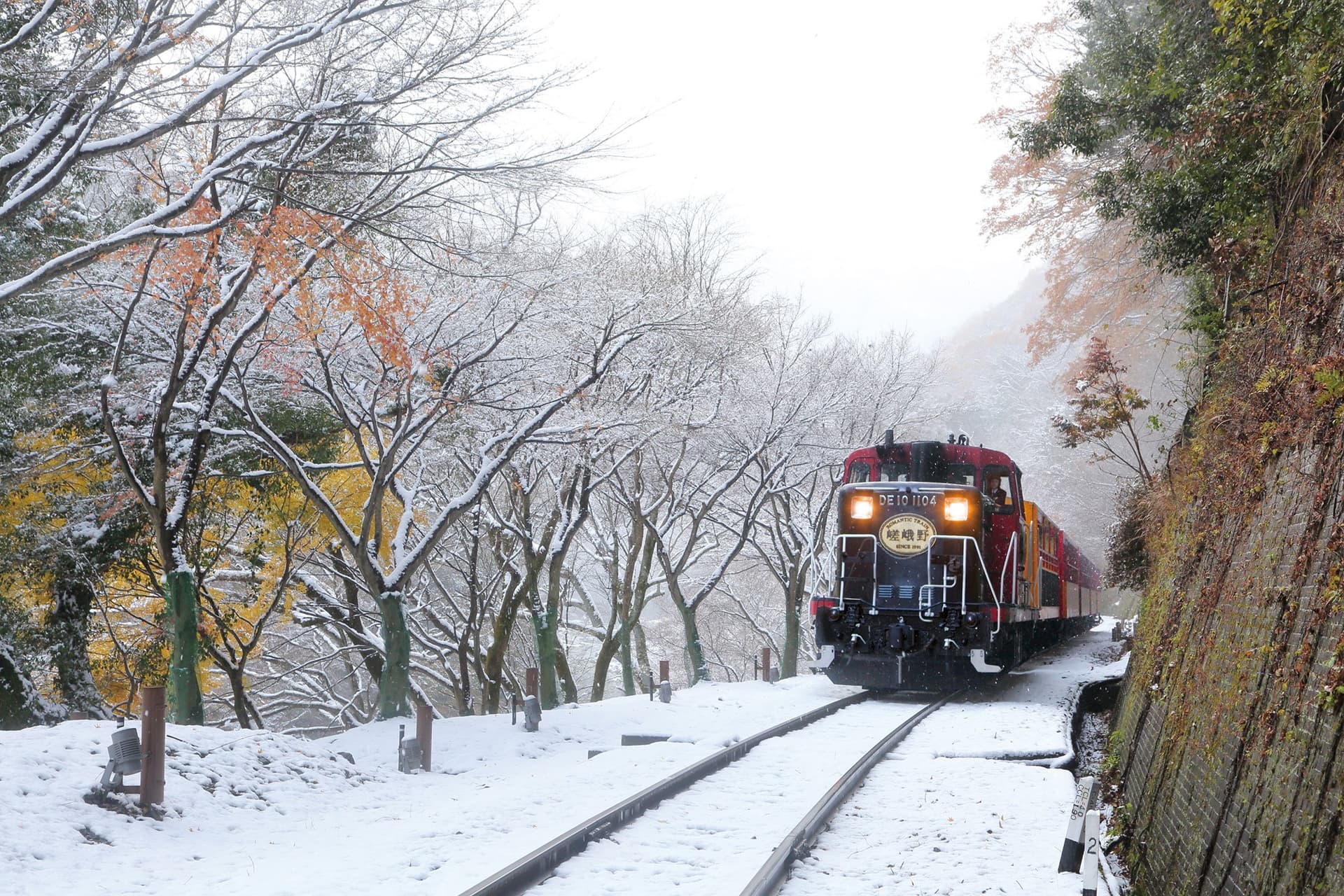 Tren Romántico de Sagano - imagen 22