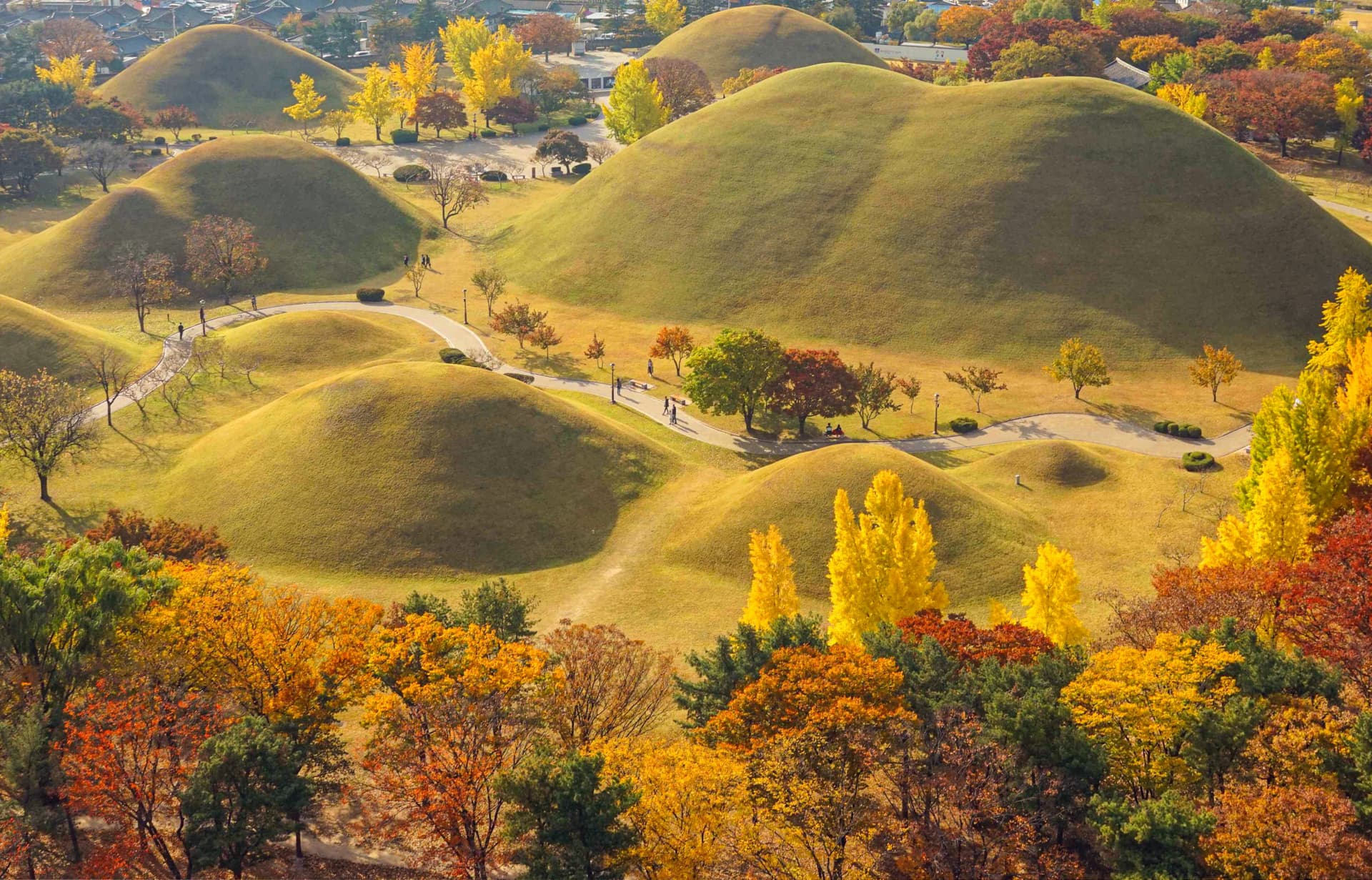Tour de un día para admirar el follaje otoñal de Gyeongju desde Busan - imagen 2