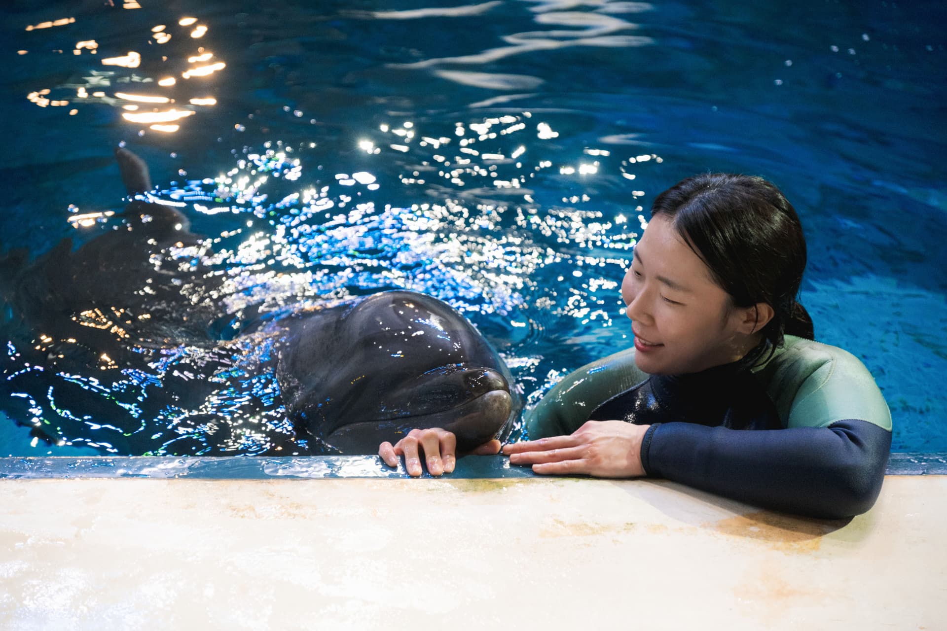 Aqua Planet Jeju Aquarium Ticket - 이미지 9