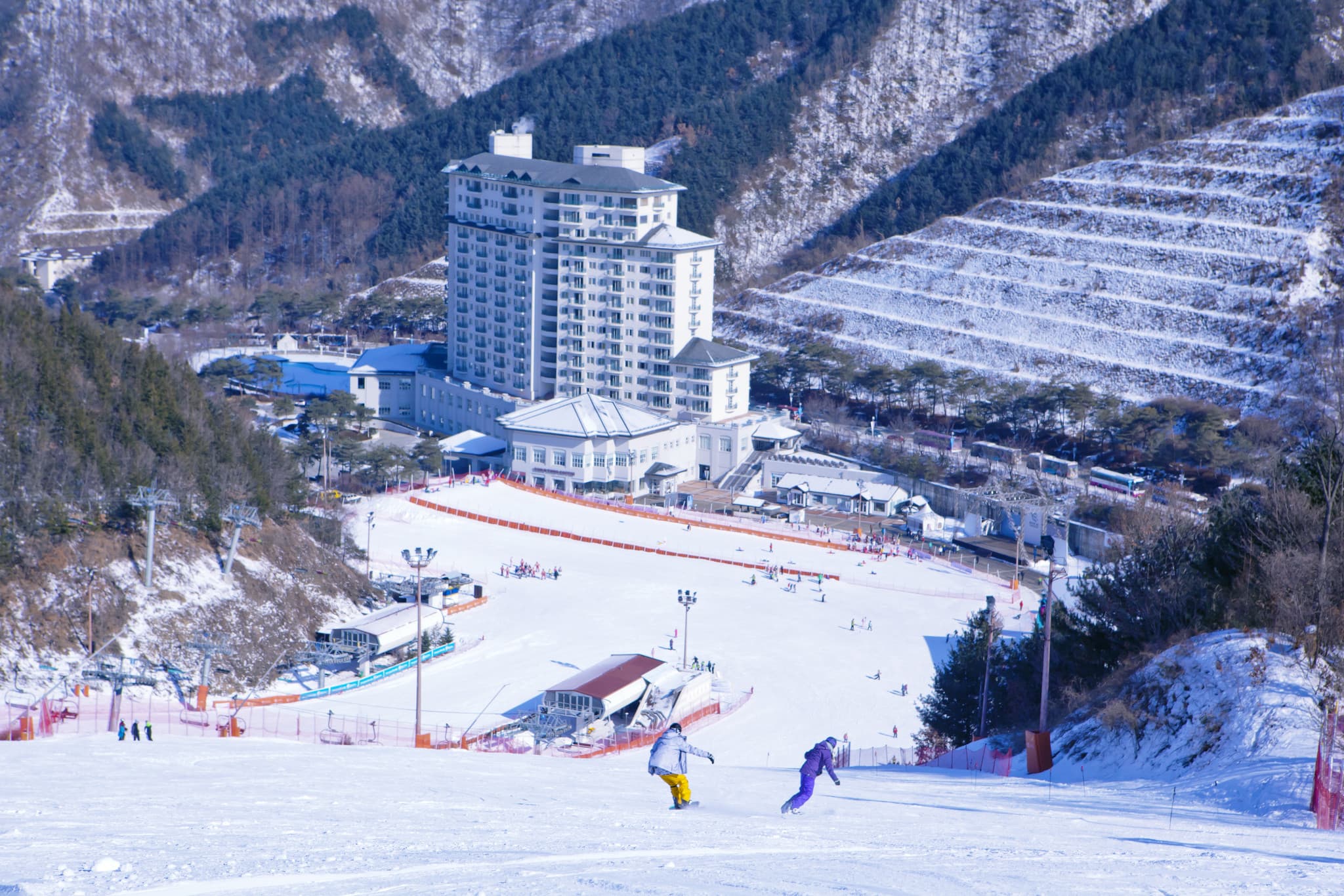 Elysian Gangchon Ski Resort and Nami Island Full-Day Tour from Seoul - image 4
