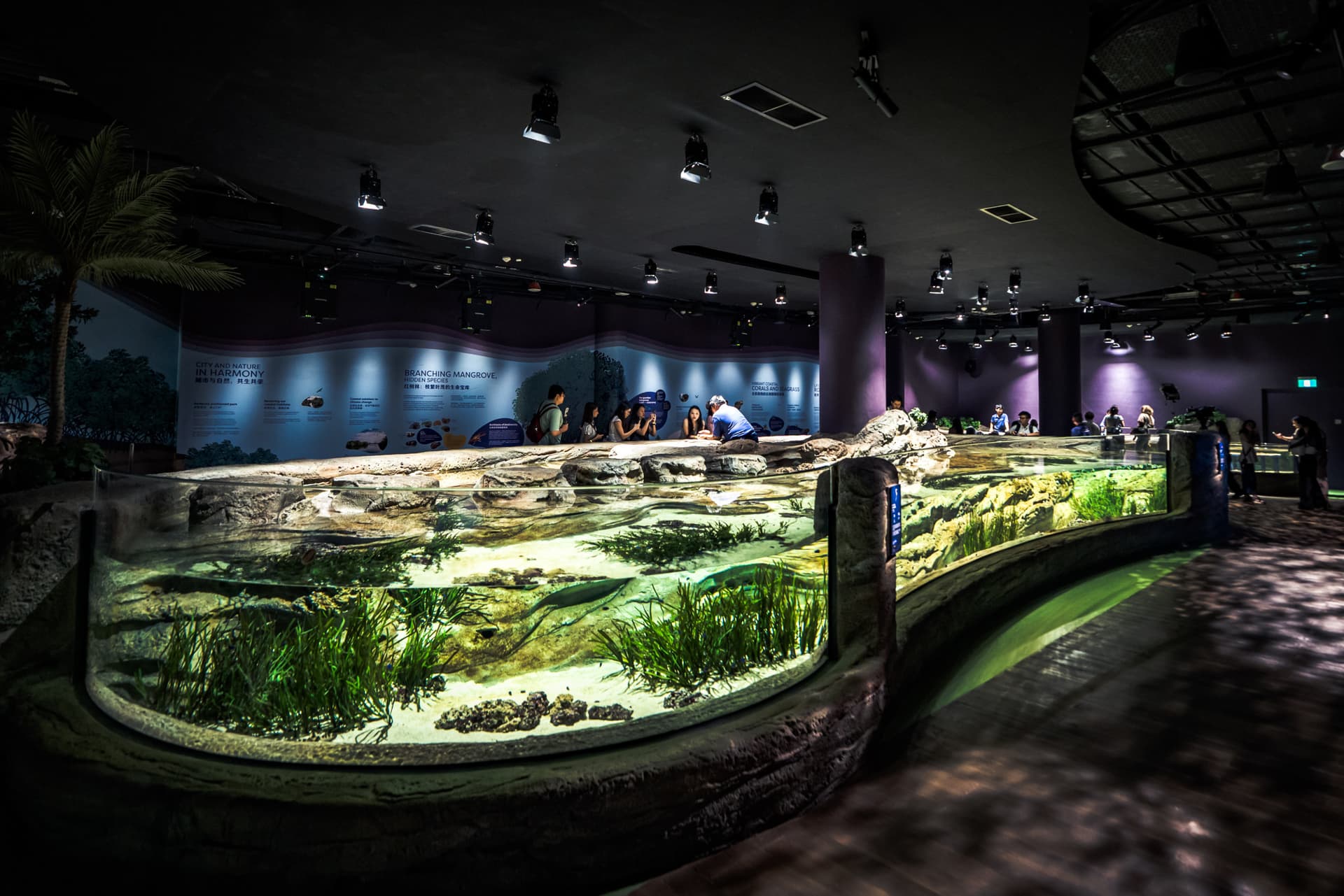 COMBO: Singapore Oceanarium + Gardens by the Bay Ticket - image 3