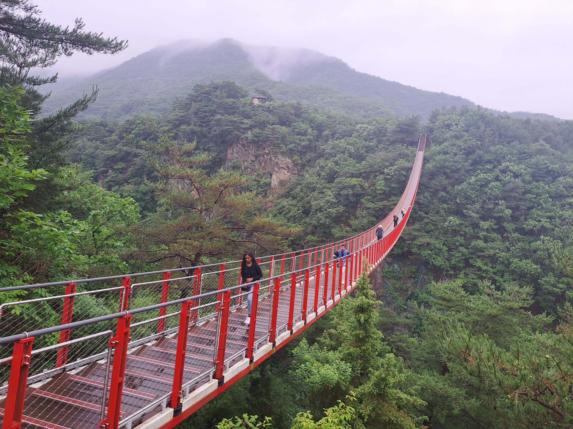 Korean Demilitarized Zone (DMZ) Tour from Seoul - image 12