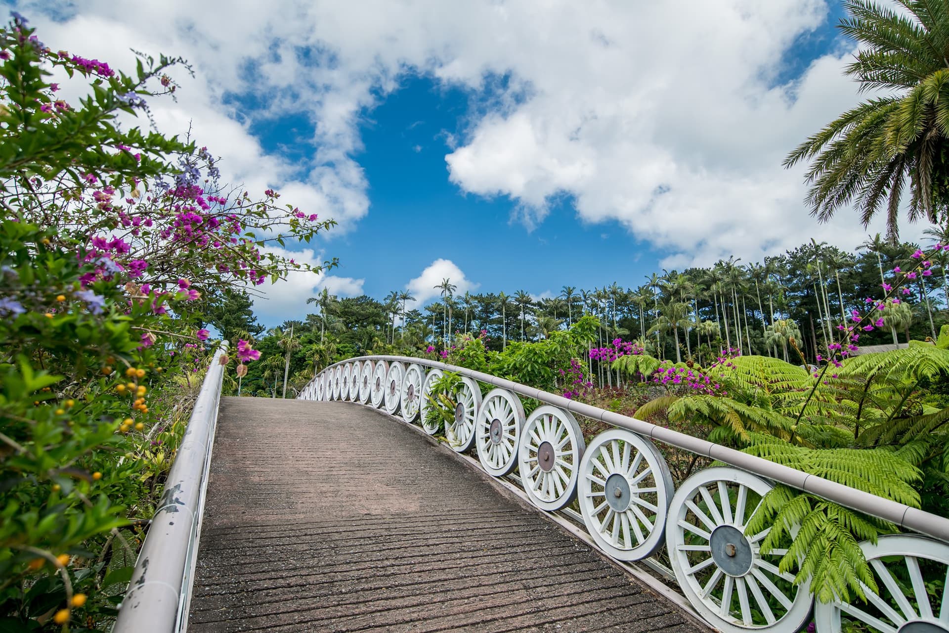 Okinawa Southeast Botanical Gardens - image 12