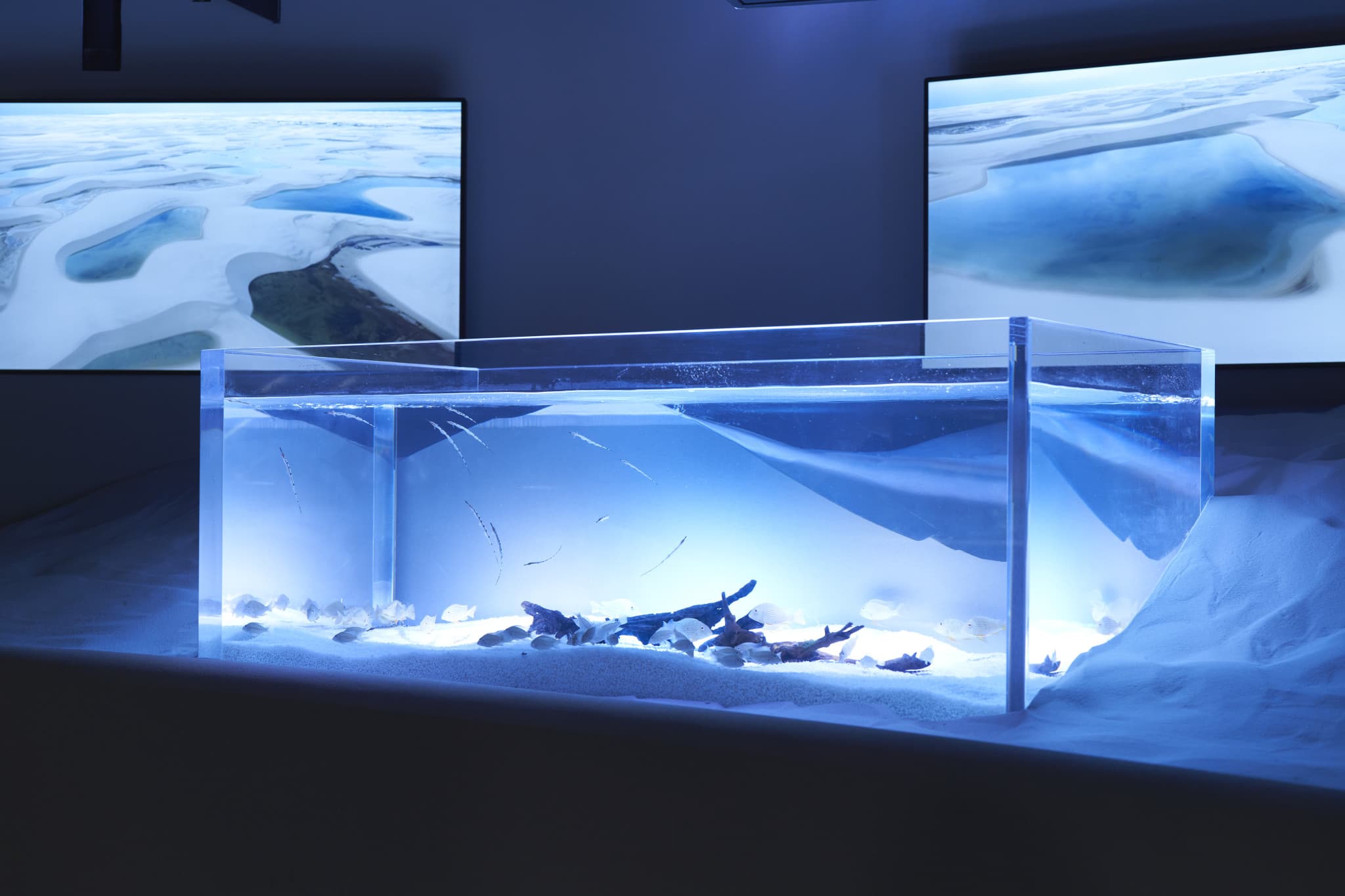 Kawasaki Aquarium Ticket - image 9