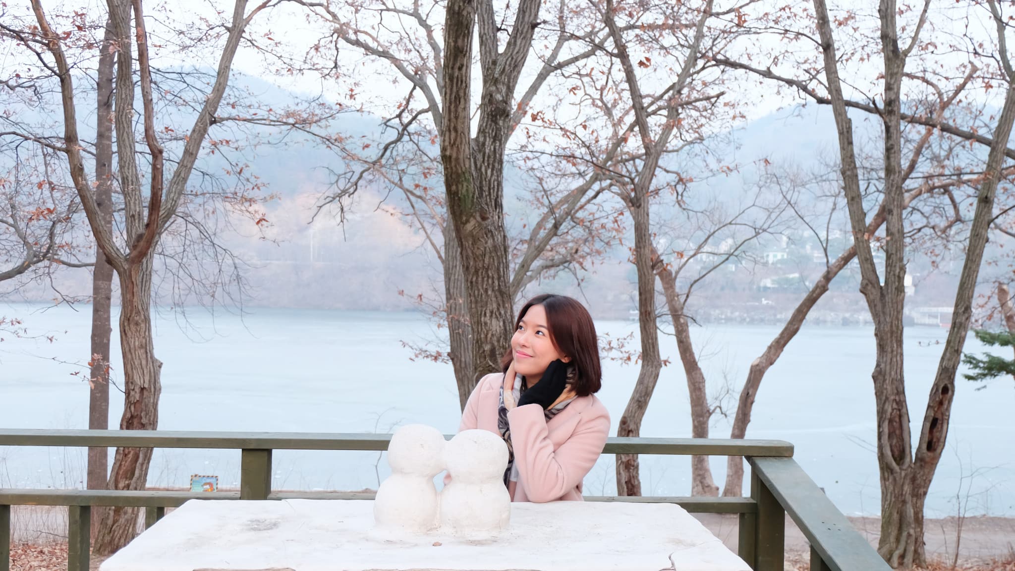 Nami Island and Garden of Morning Calm Tour from Seoul - image 4