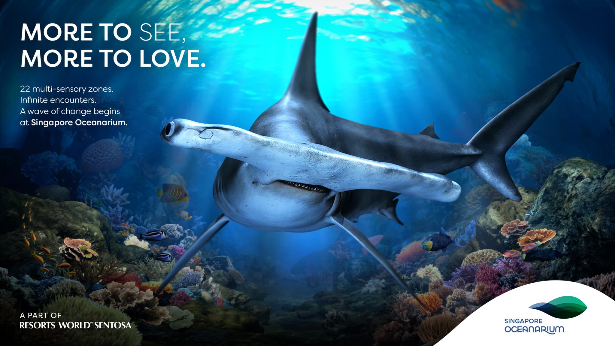 COMBO: Singapore Oceanarium + Albatross Hop-On Hop-Off Speedboat Tickets - image 5