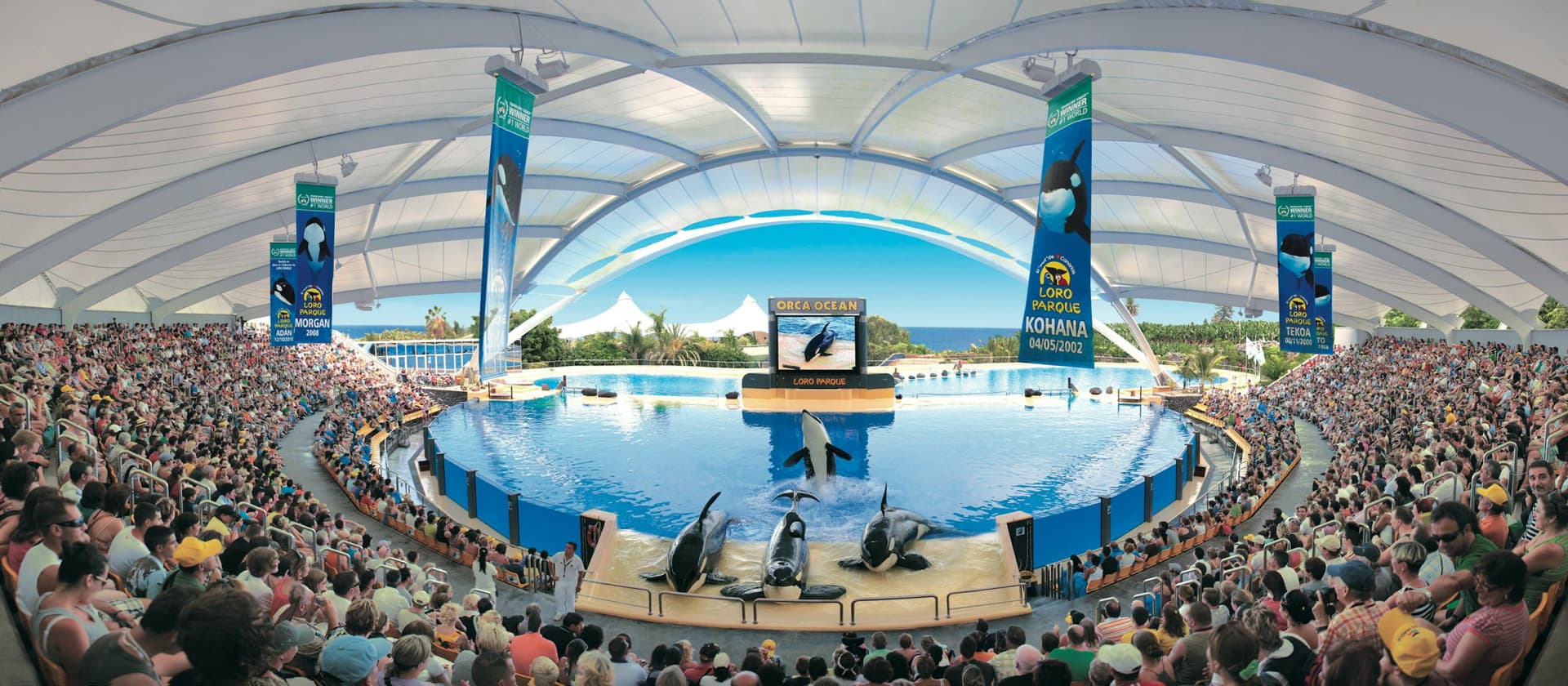 Loro Parque Ticket - image 3