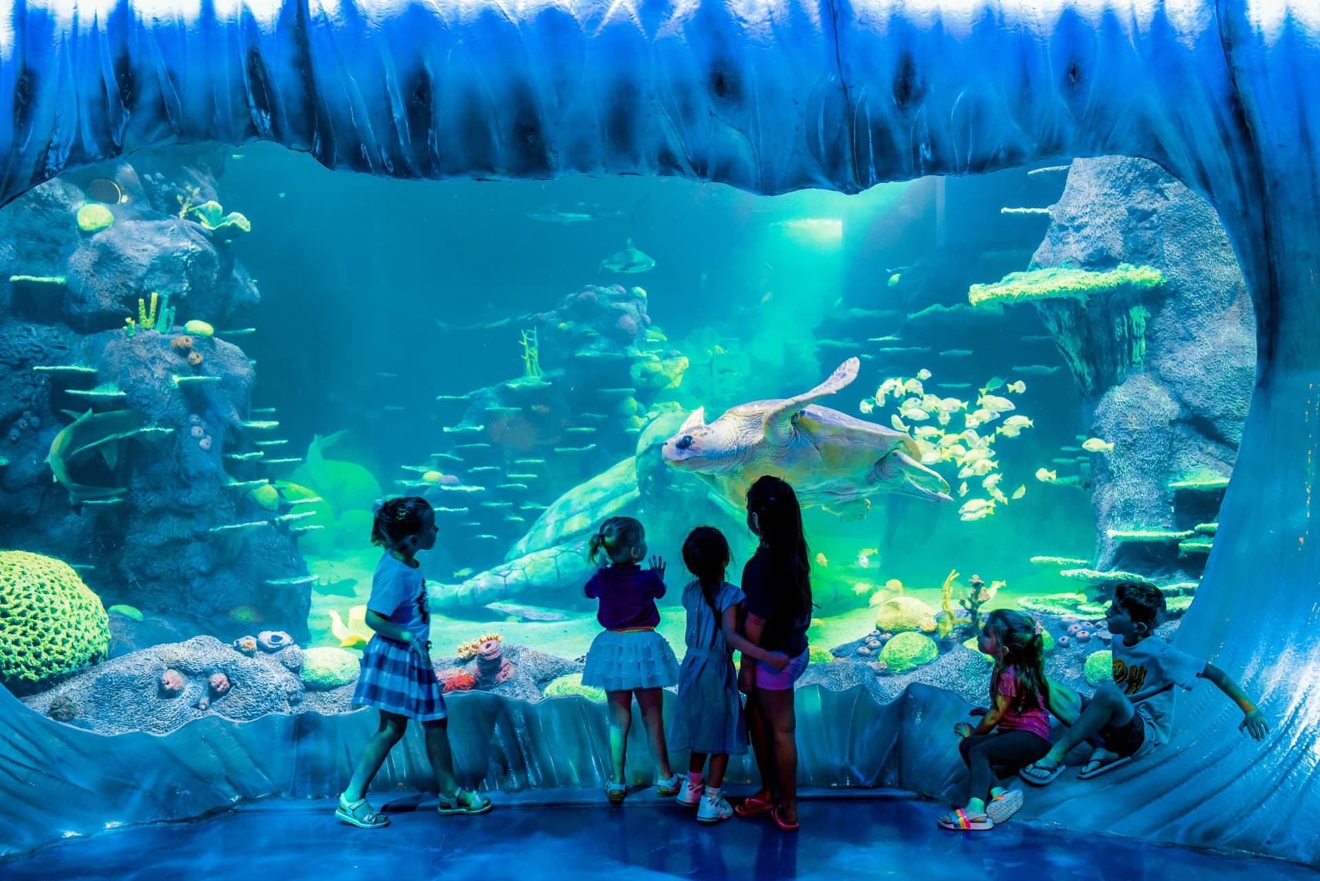 Go City Sydney Explorer Pass: Ahorre hasta un 50% en atracciones - imagen 30