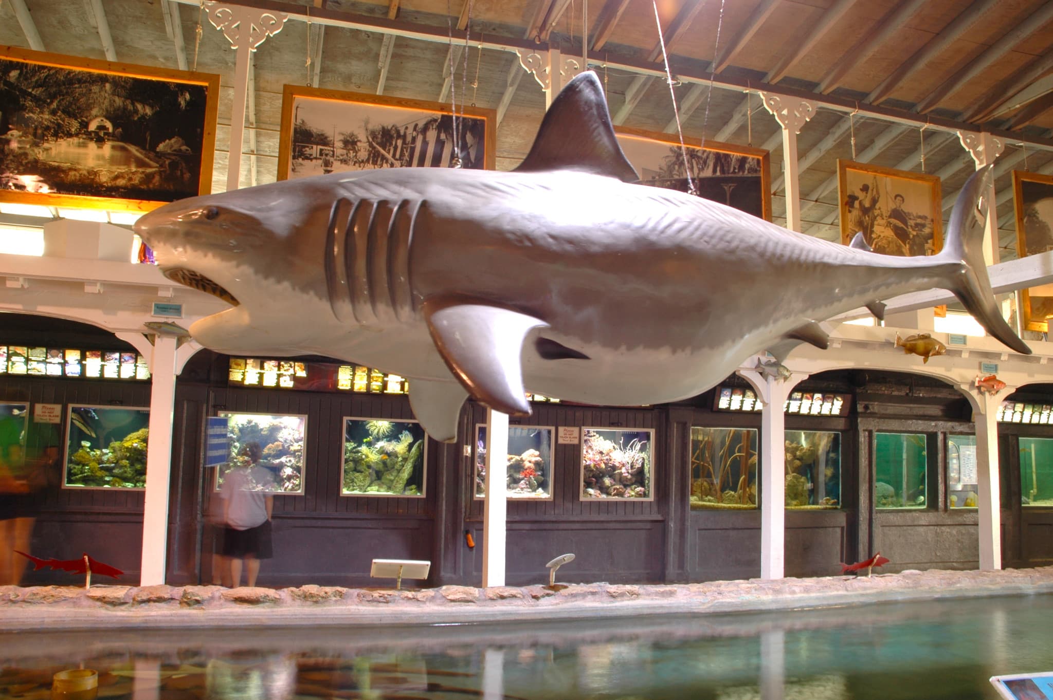 Go City Miami Explorer Pass: Save up to 50% on Attractions - image 21