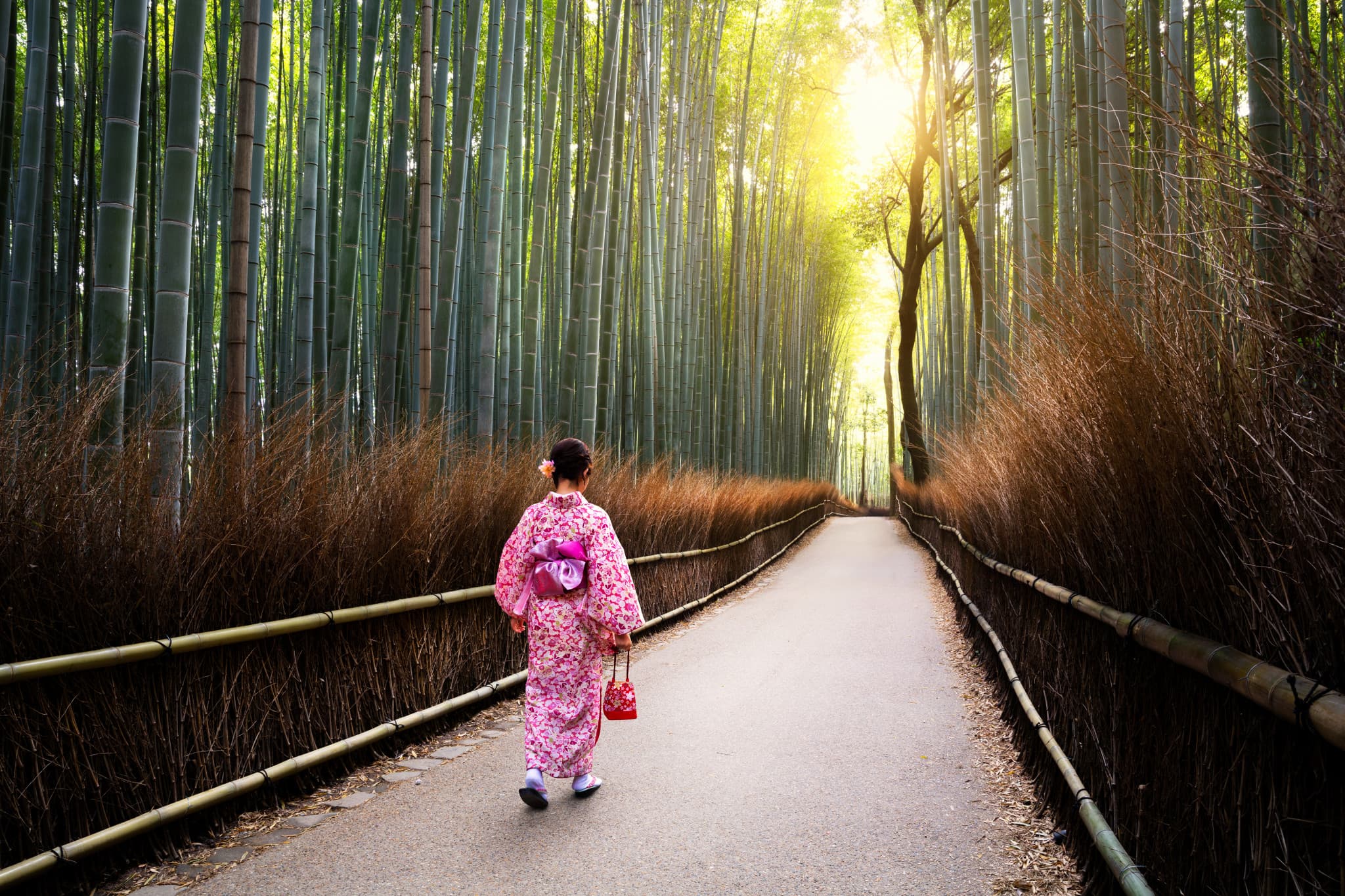 Professional Photo Shoot in Kyoto - main image
