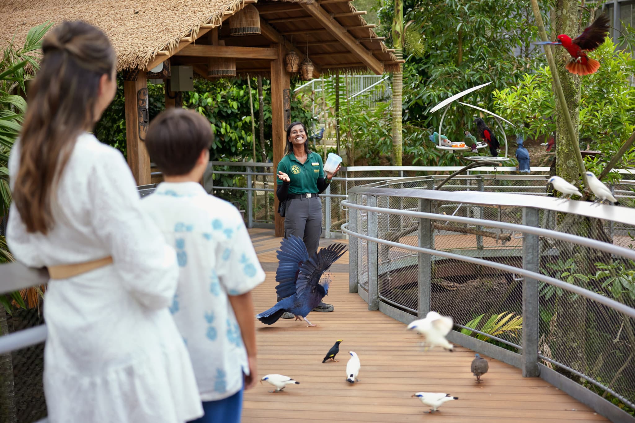 COMBO: River Wonders + Bird Paradise Ticket - image 21