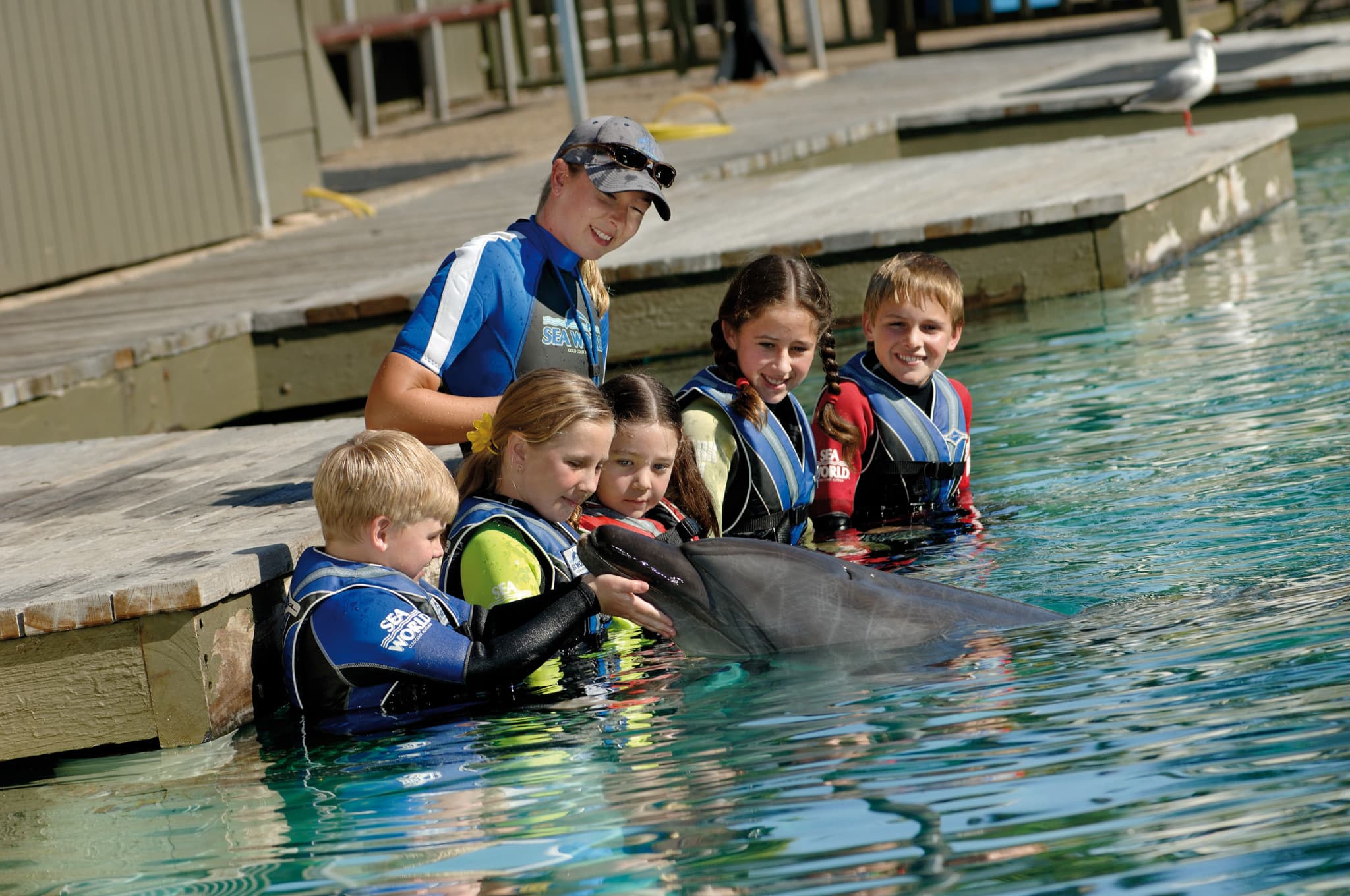 Sea World Gold Coast Ticket - image 14